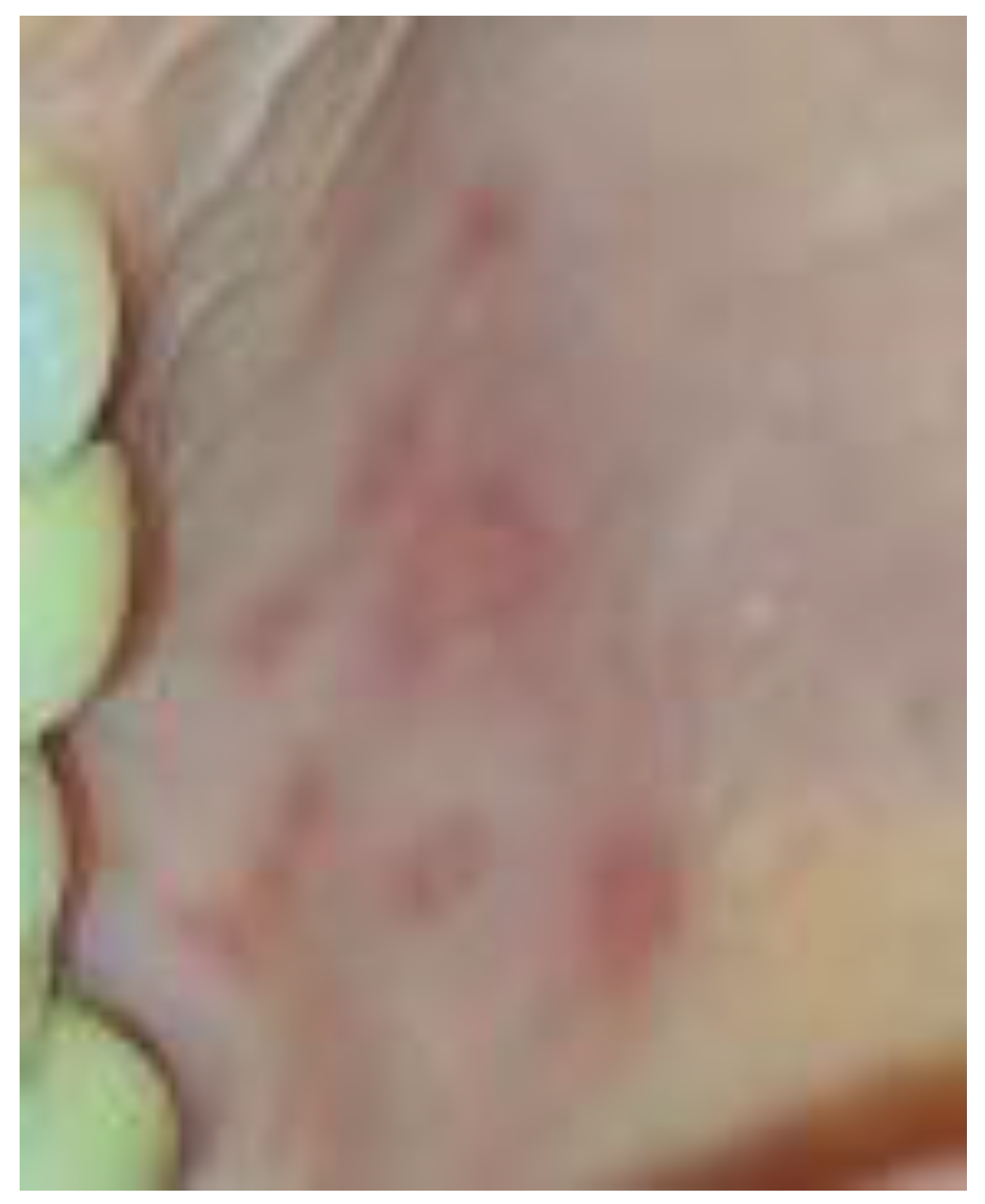 Preprints 197548 g002