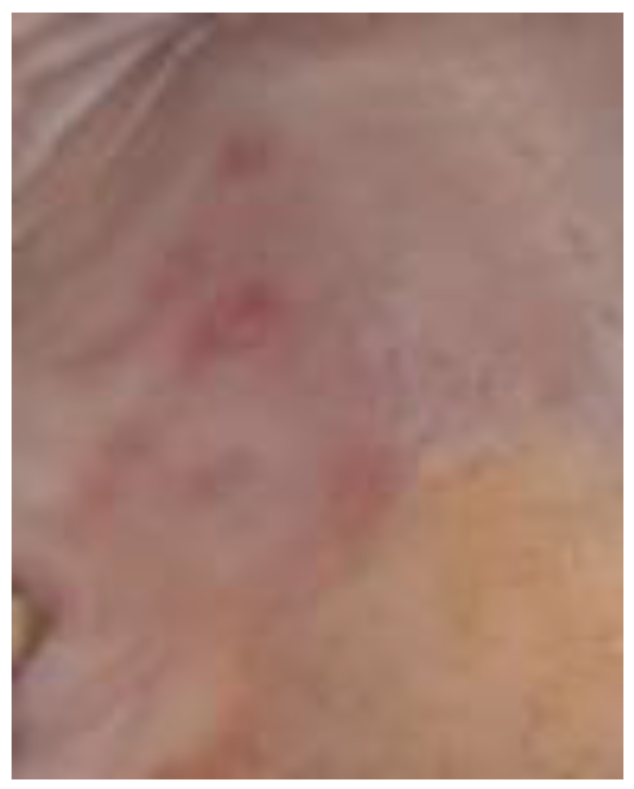 Preprints 197548 g003