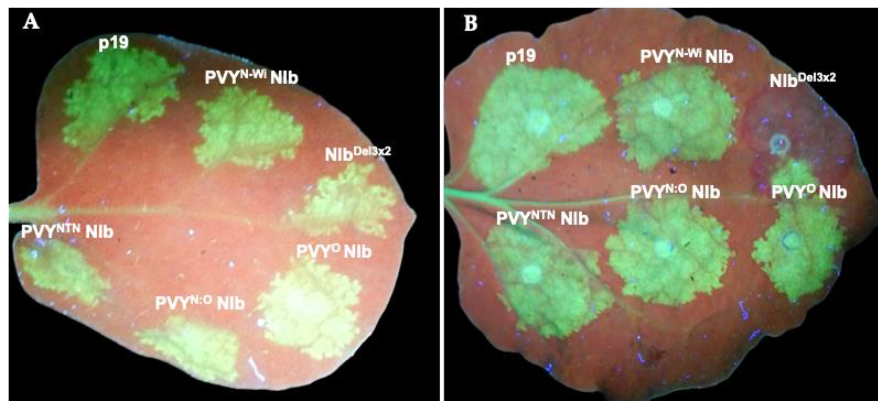 Preprints 193212 g001