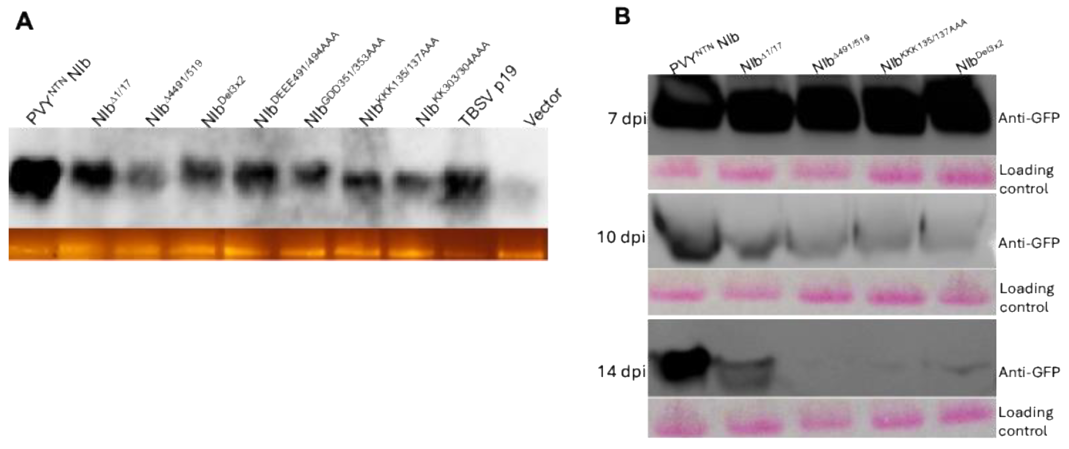 Preprints 193212 g003