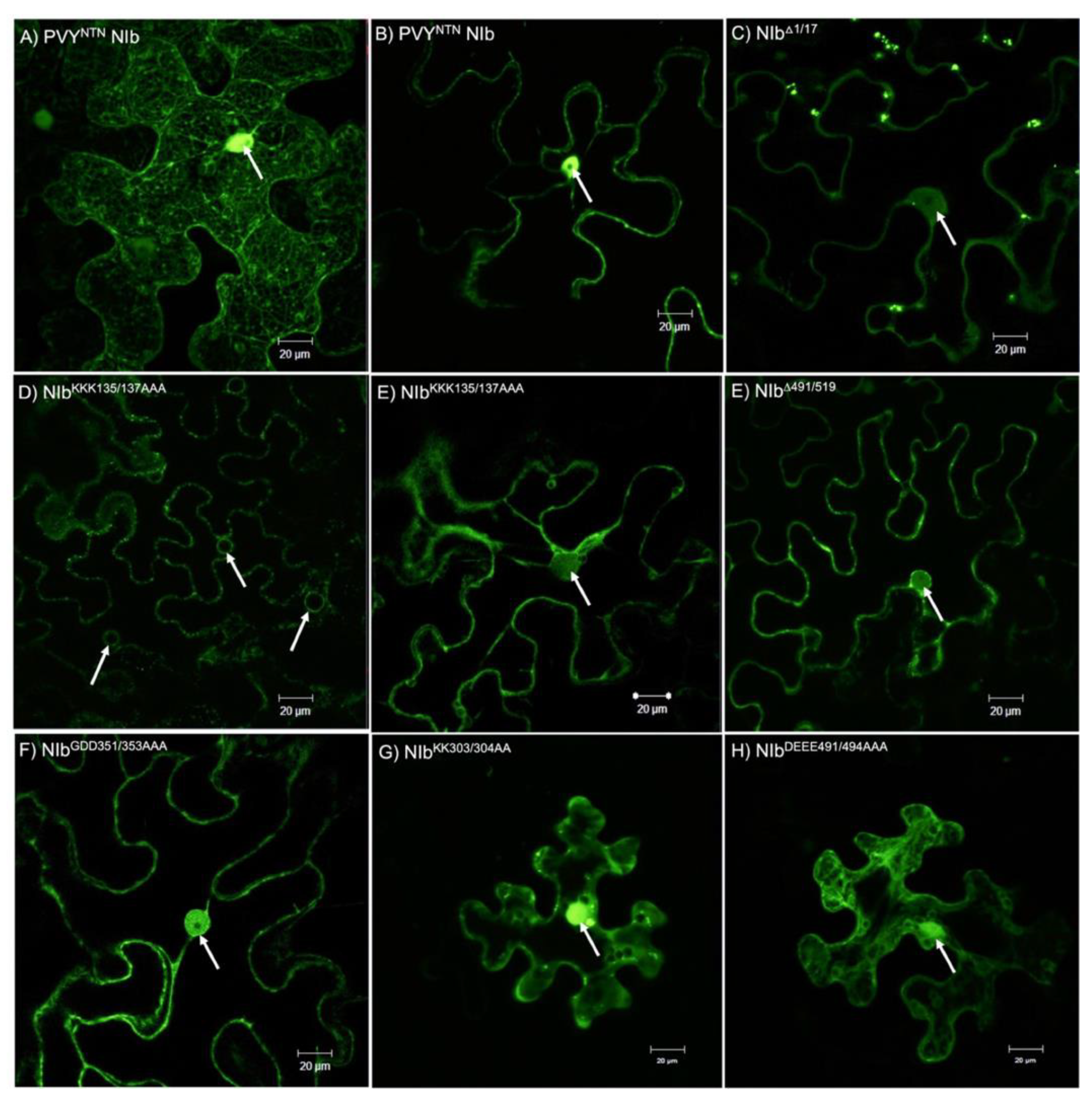 Preprints 193212 g004