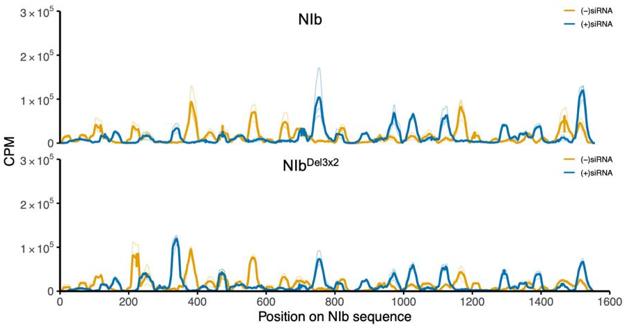 Preprints 193212 g008