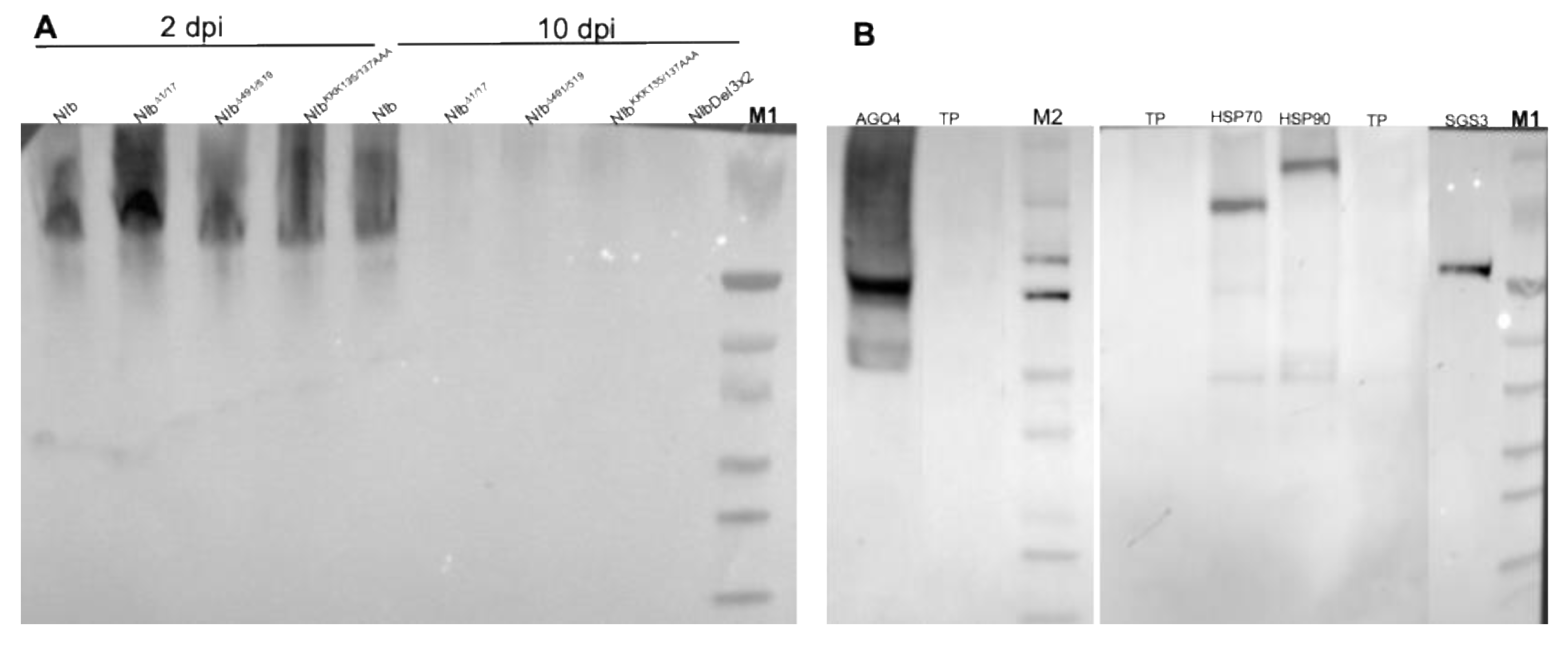 Preprints 193212 g010