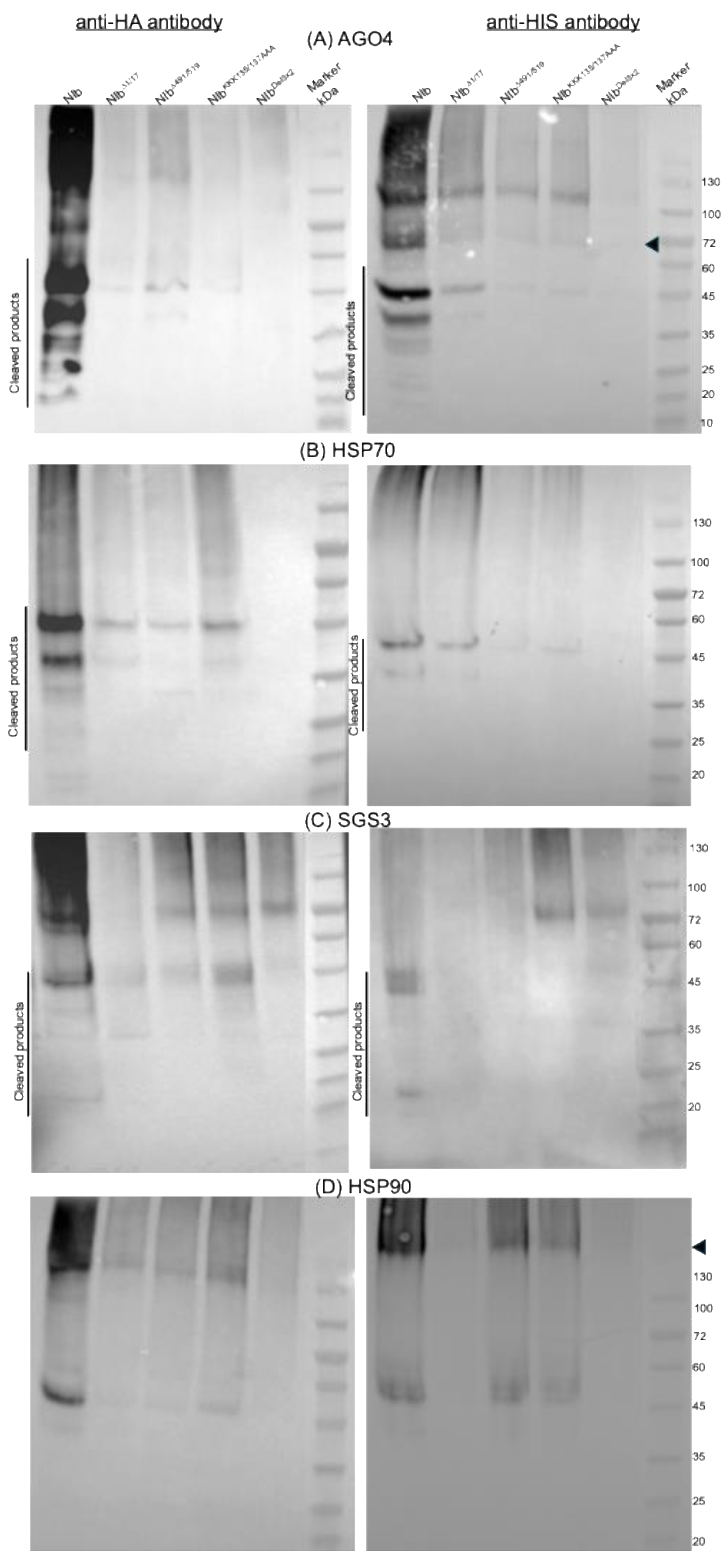 Preprints 193212 g011