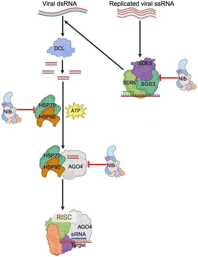 Preprints 193212 g012