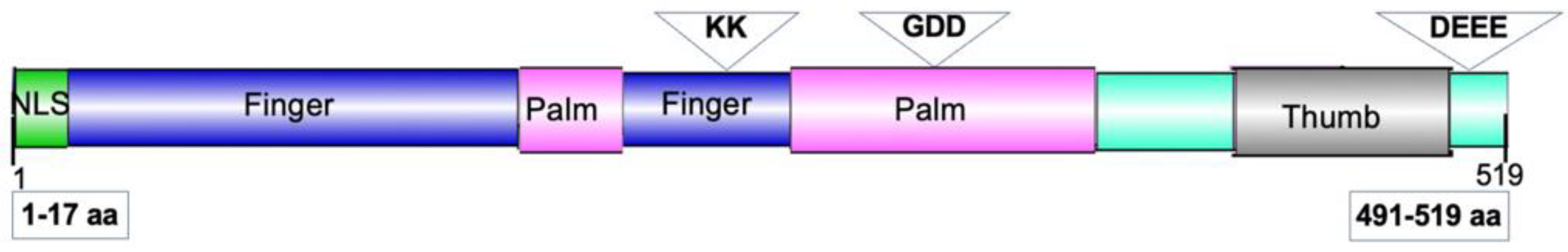 Preprints 193212 g013