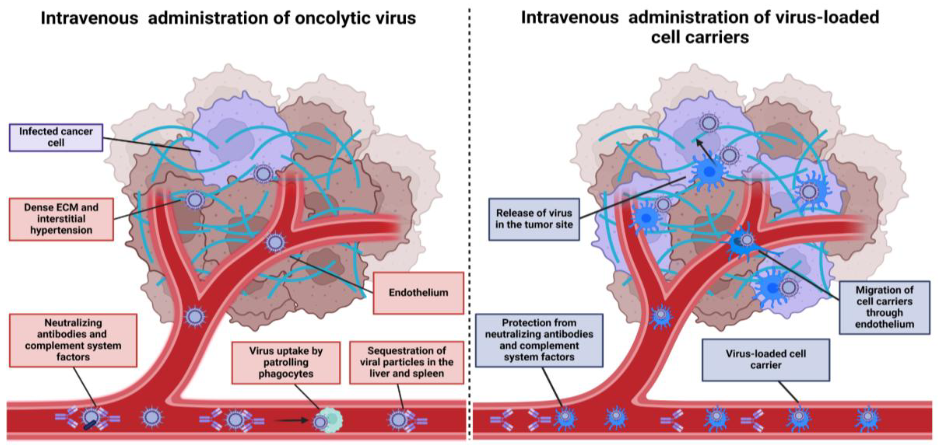Preprints 163481 g001