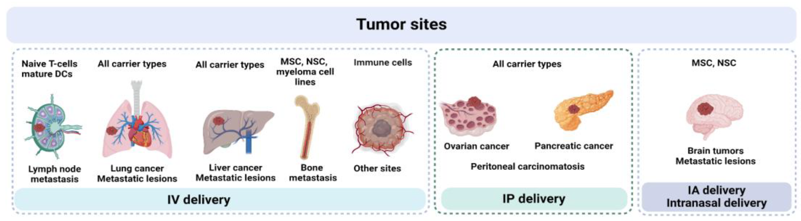 Preprints 163481 g003