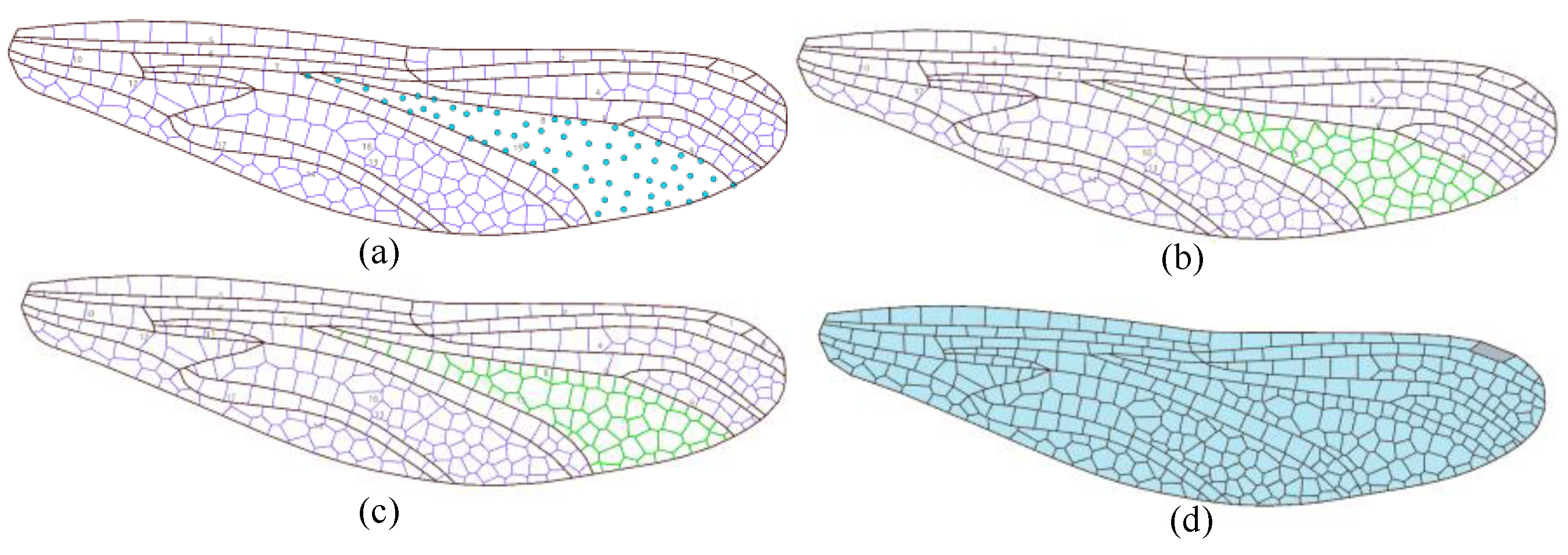 Preprints 142928 g012