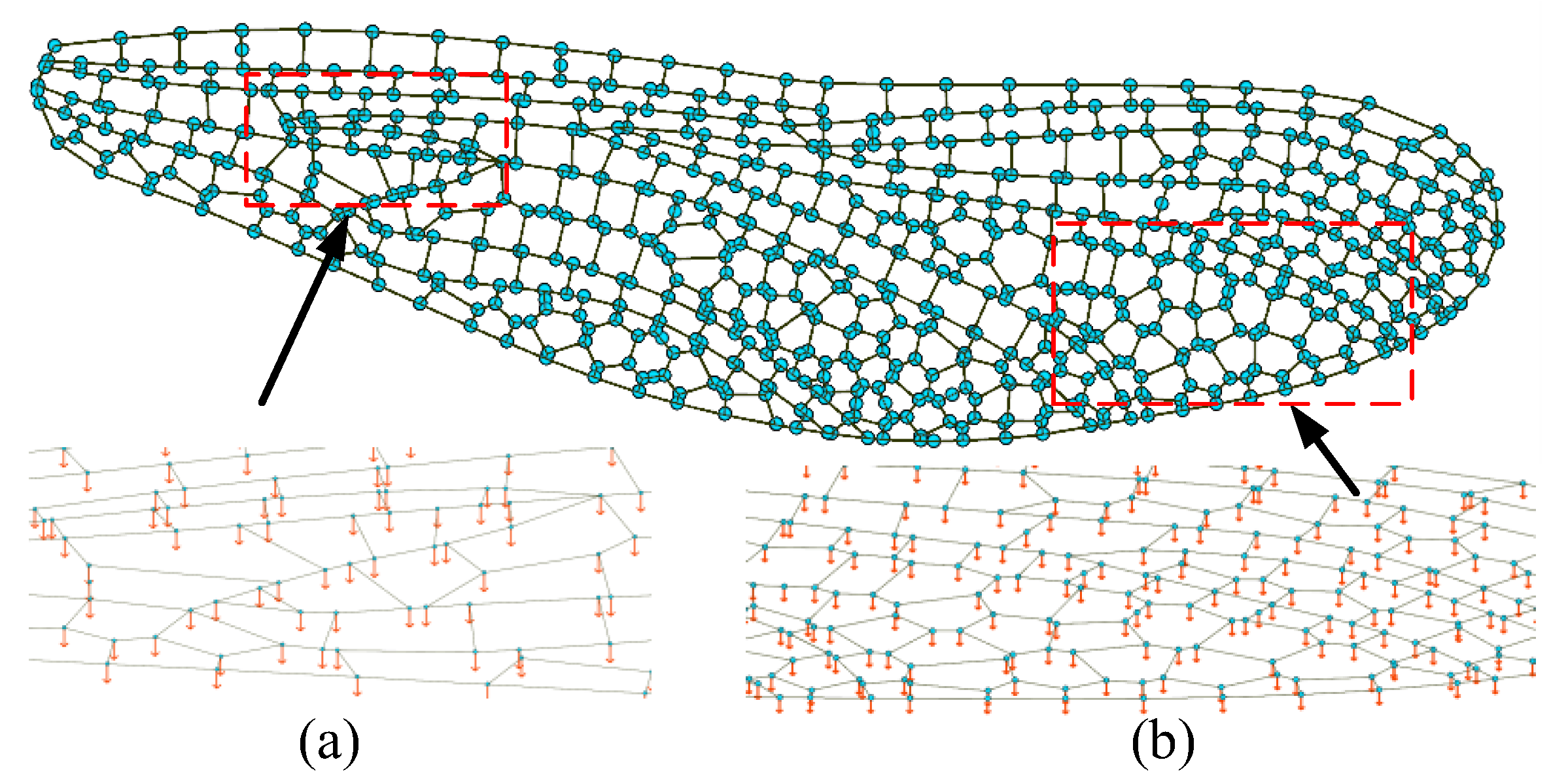 Preprints 142928 g013