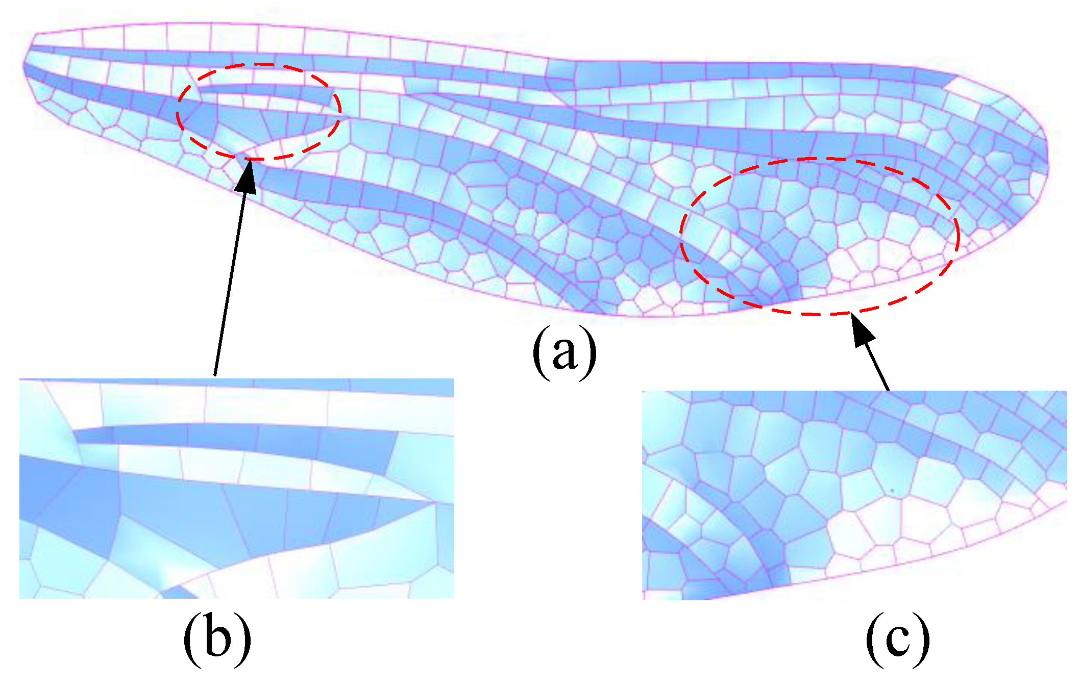 Preprints 142928 g015