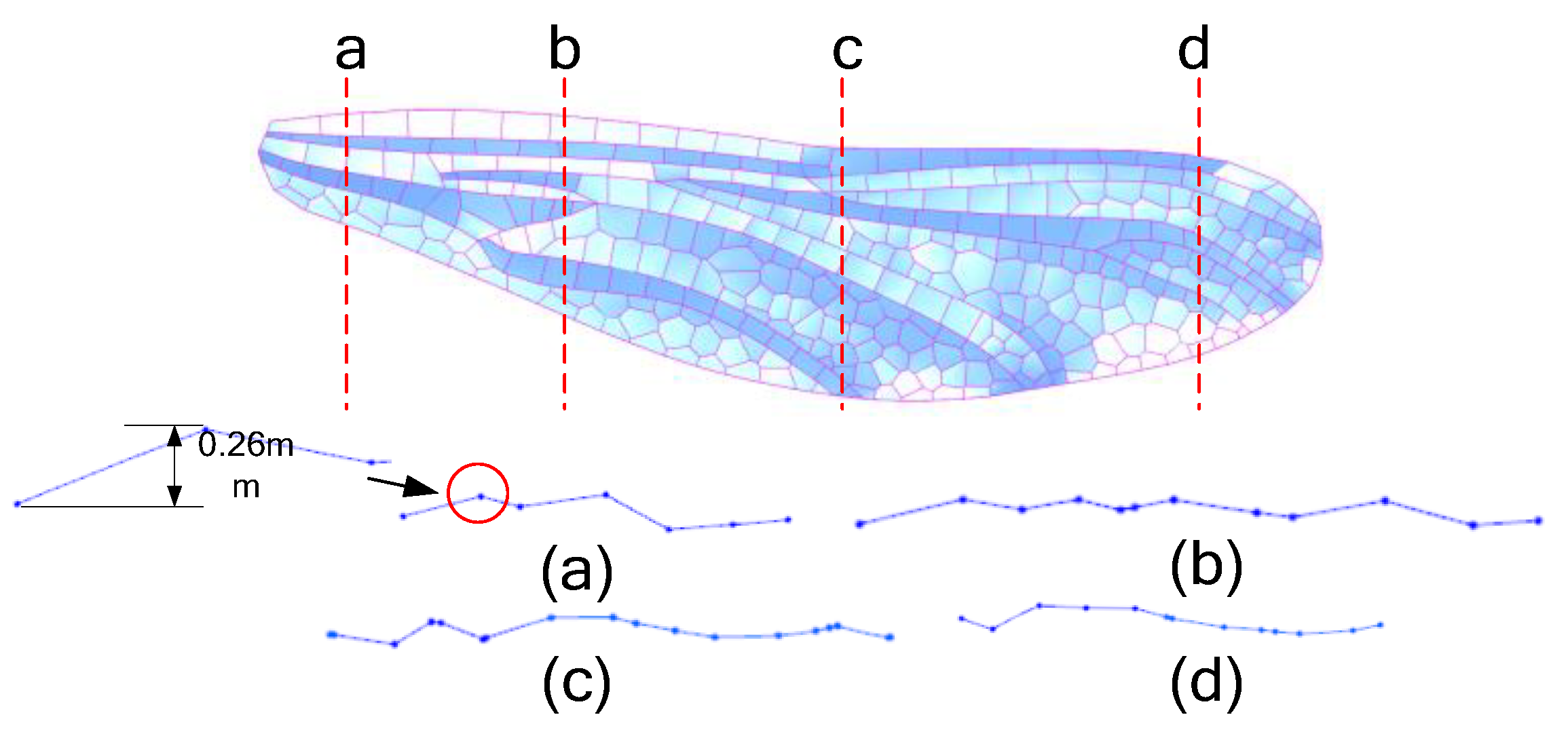 Preprints 142928 g016