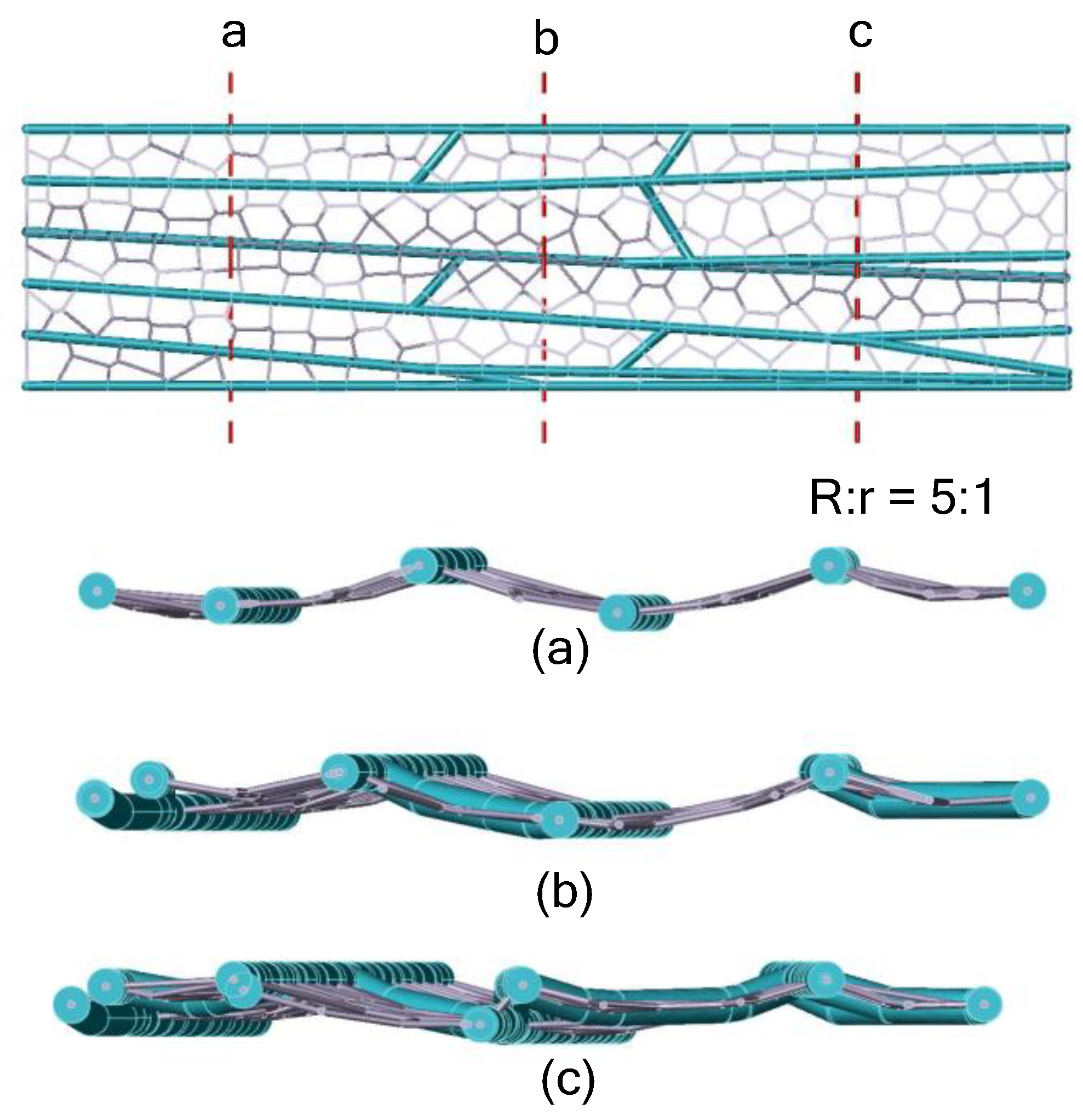 Preprints 142928 g020