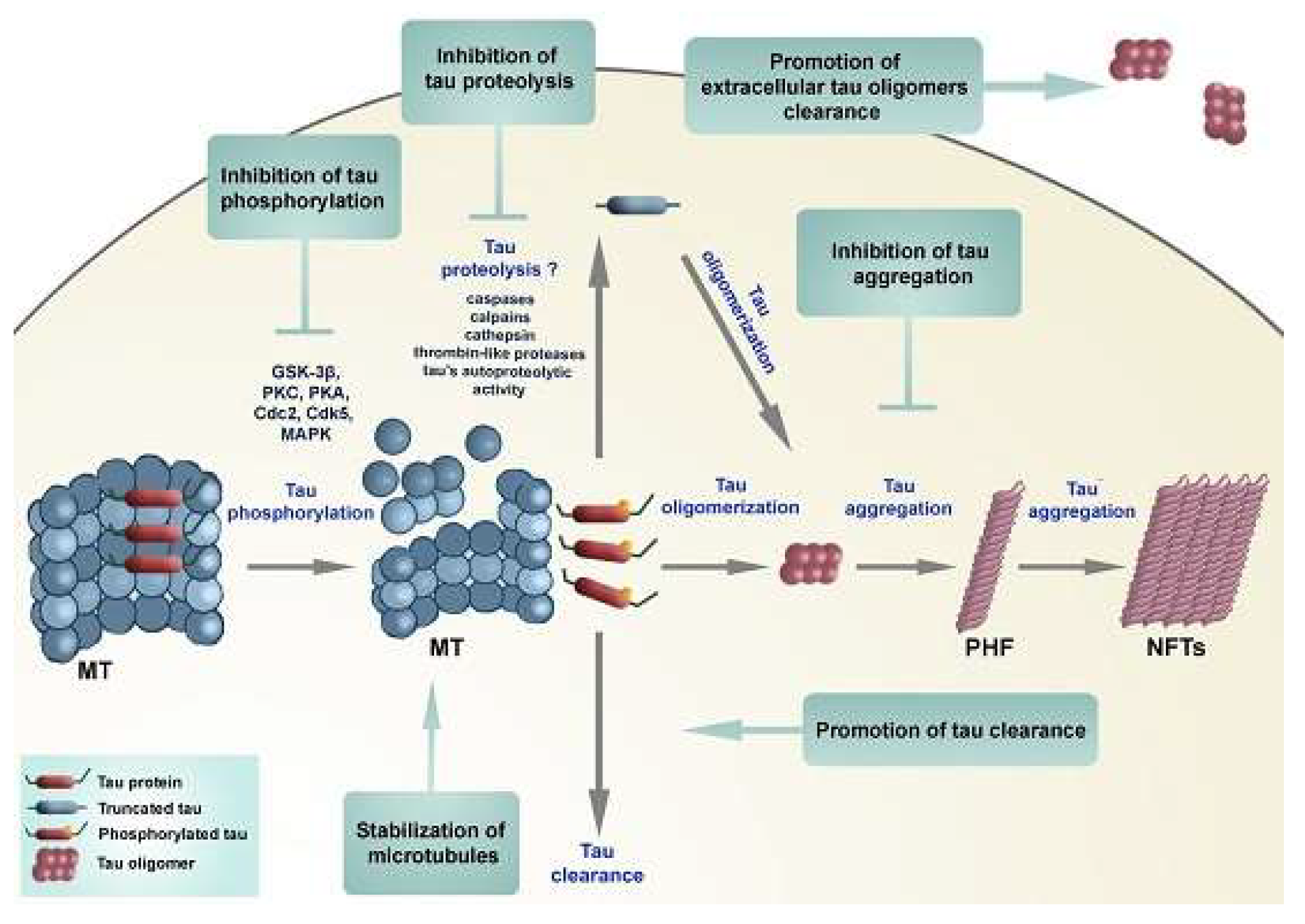 Preprints 150236 g001
