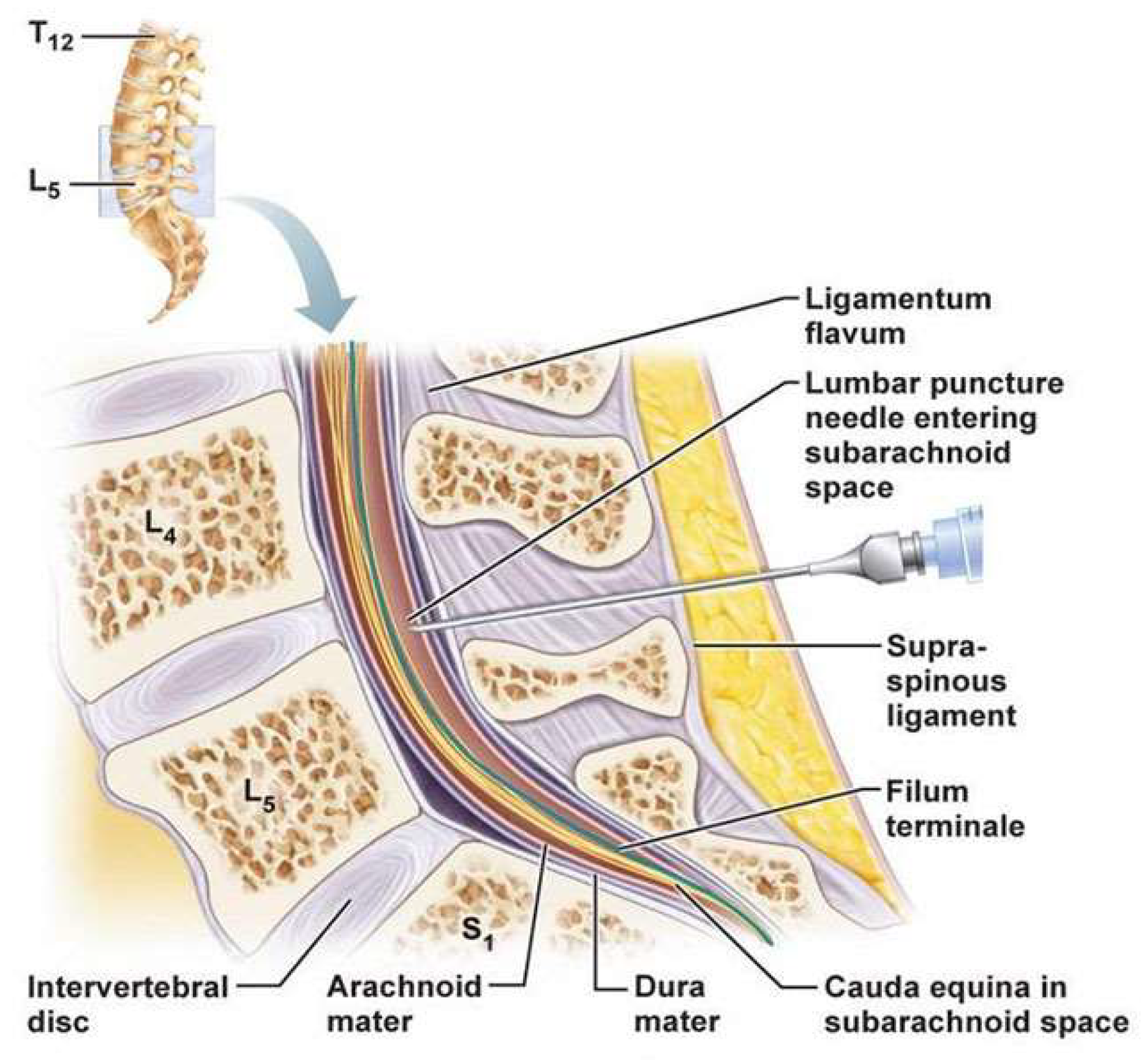 Preprints 150236 g002