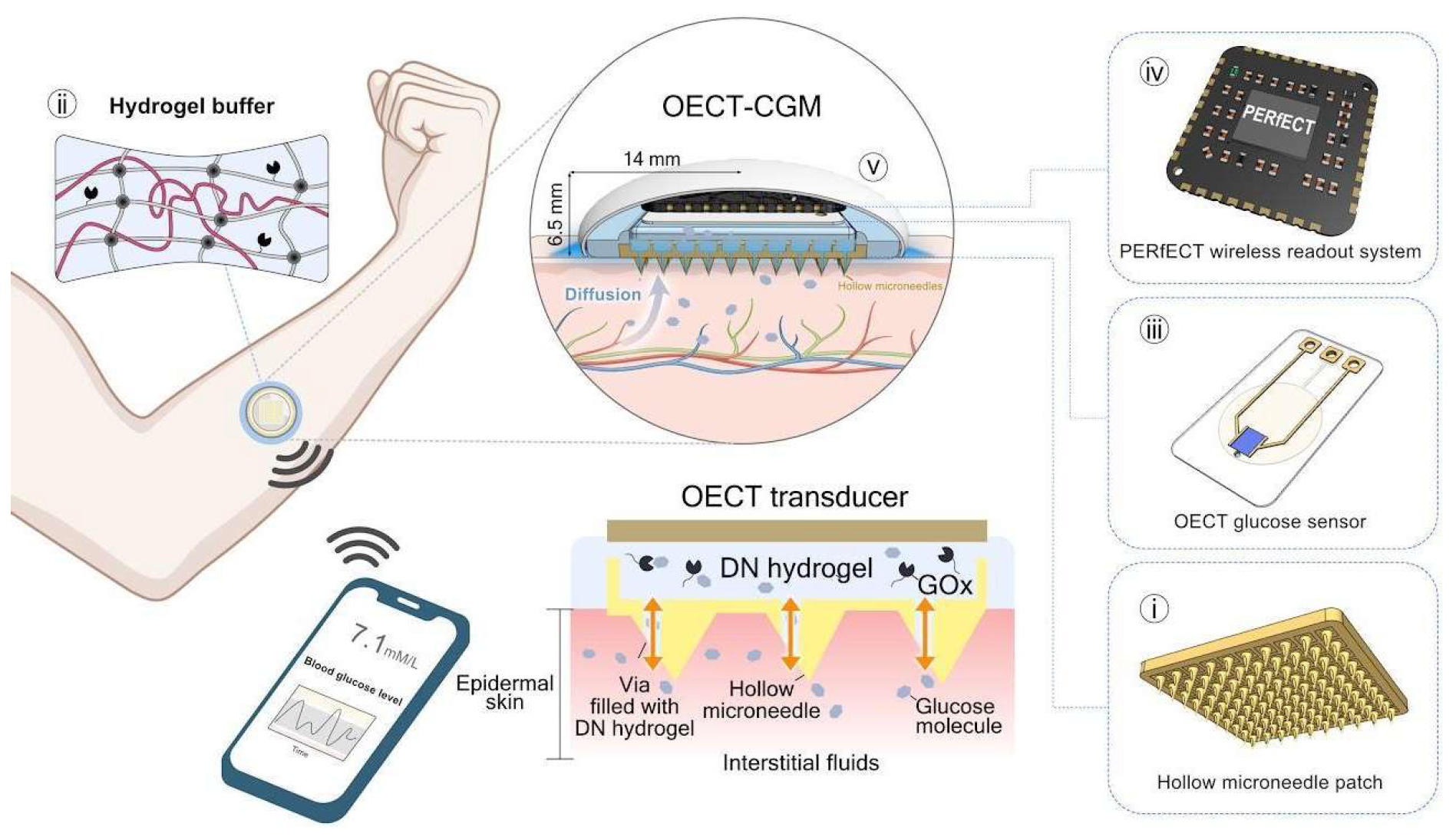 Preprints 150236 g003