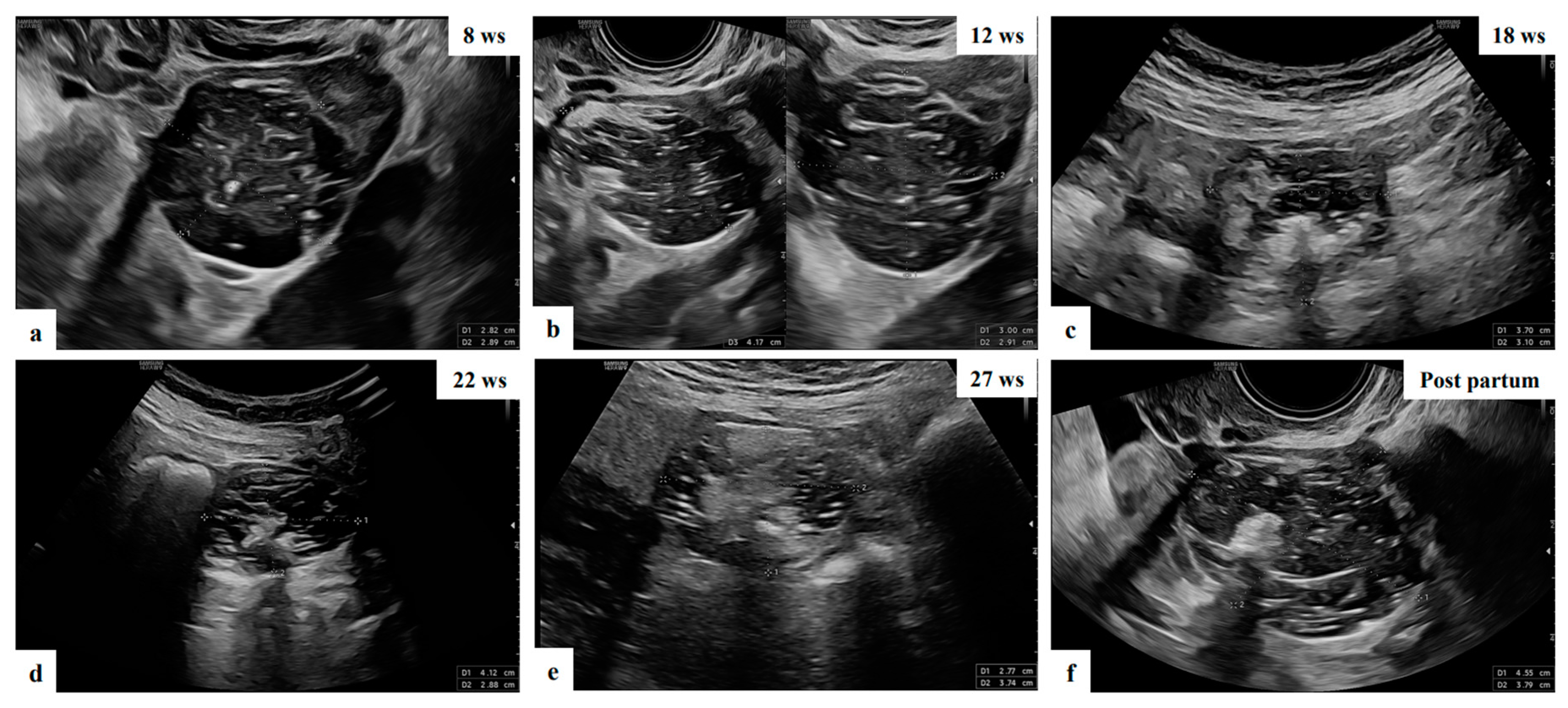 Preprints 84665 g001