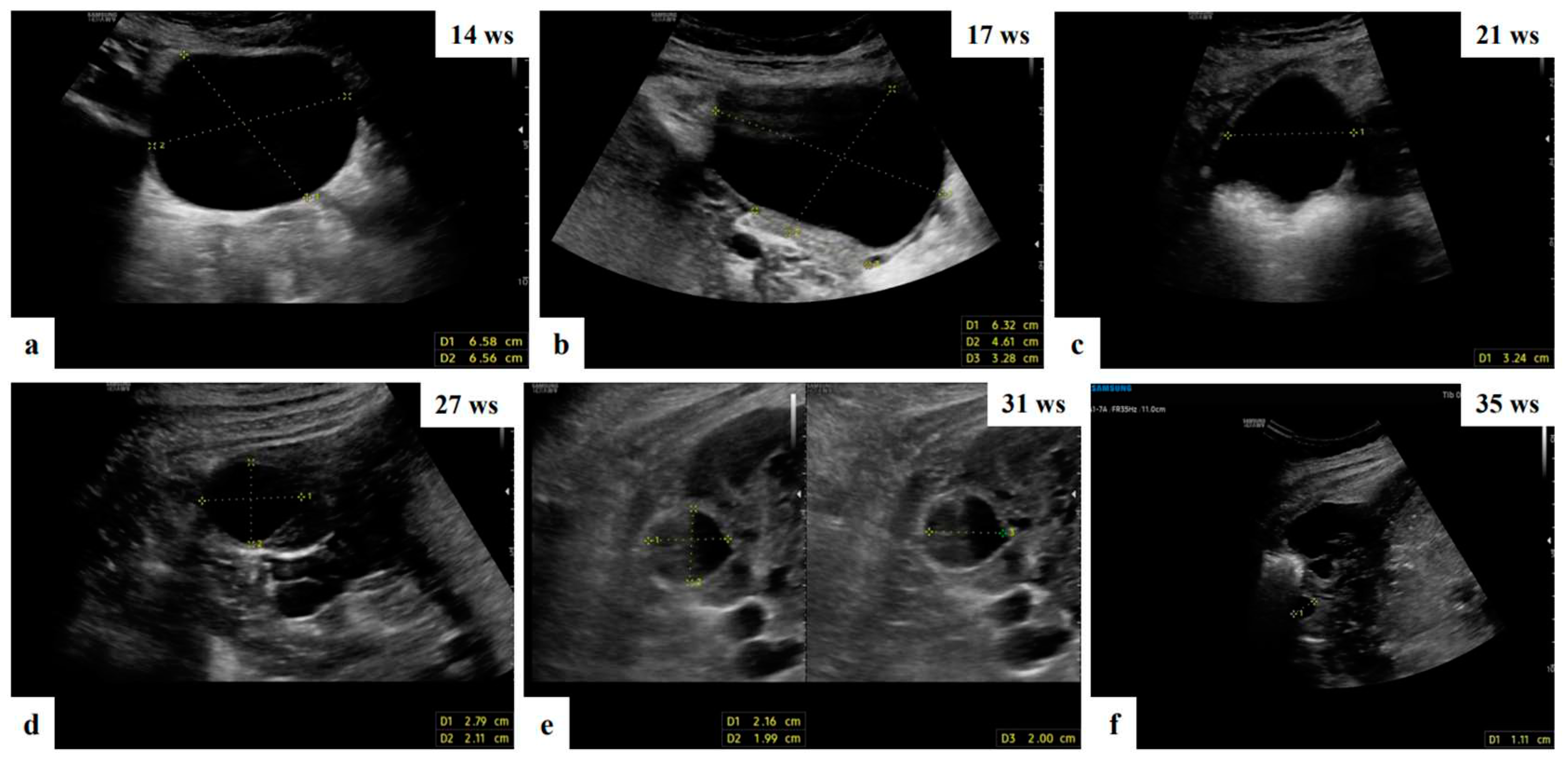 Preprints 84665 g002