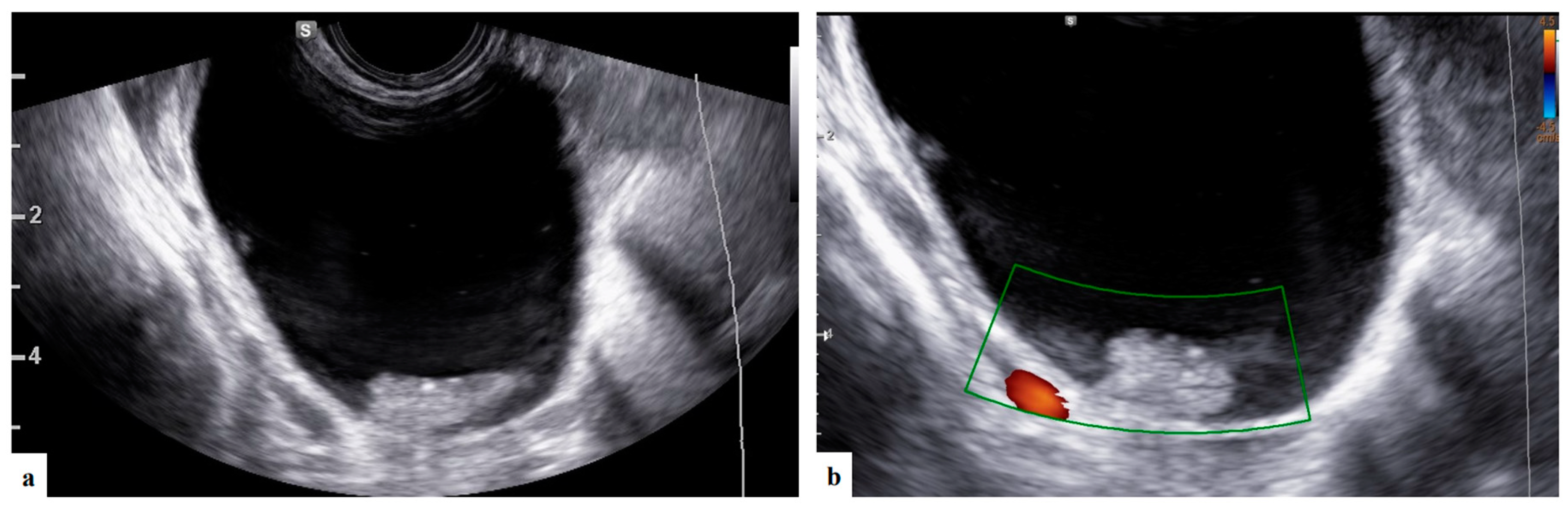 Preprints 84665 g003