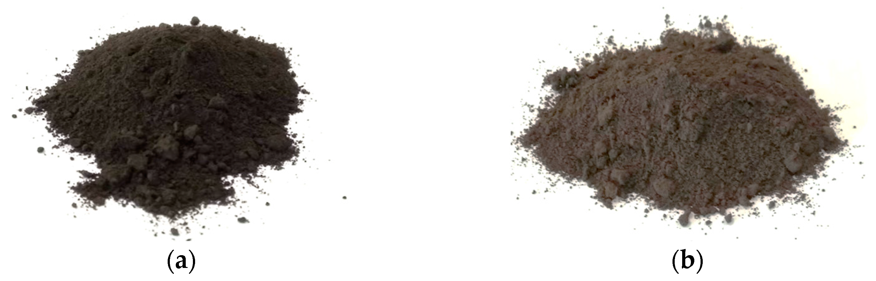 Preprints 97866 g001