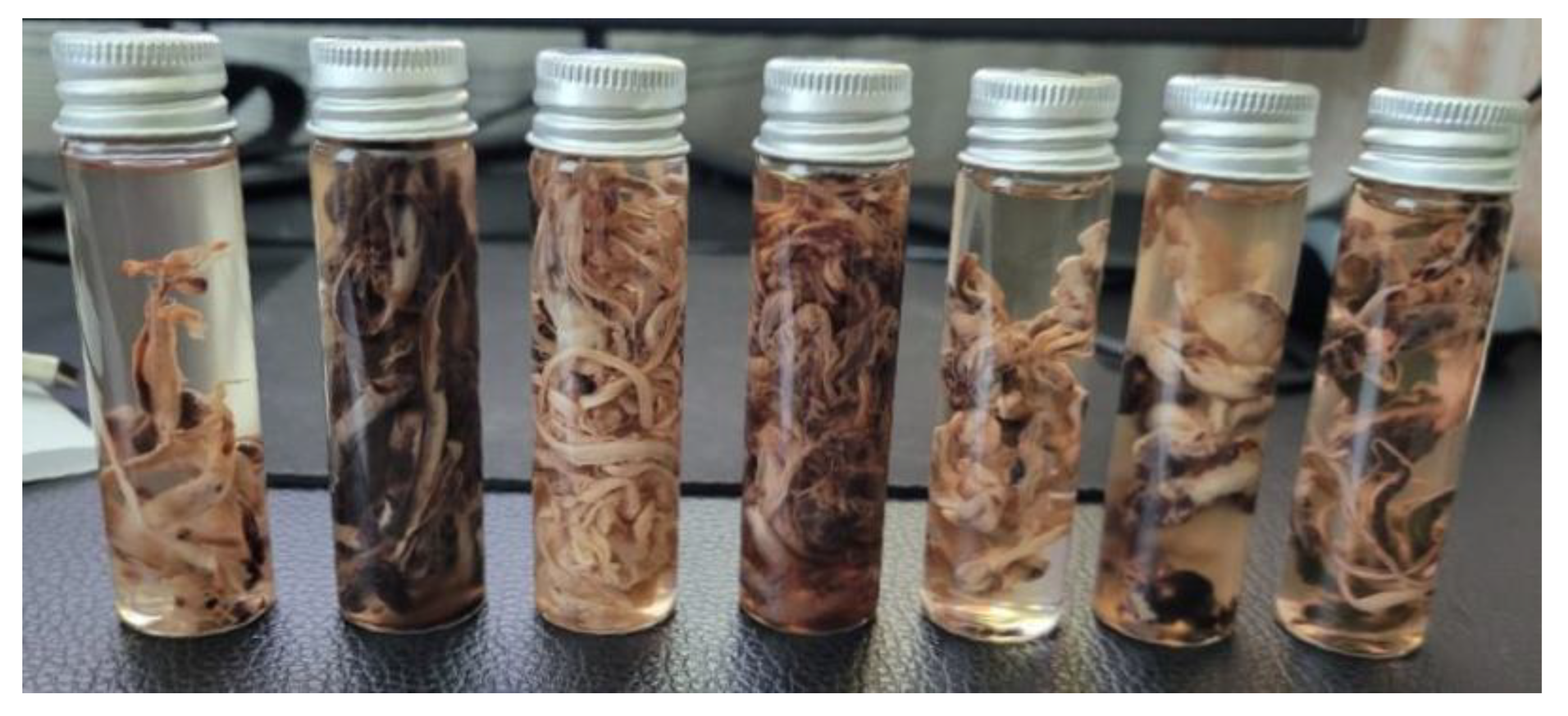 Preprints 195677 g001