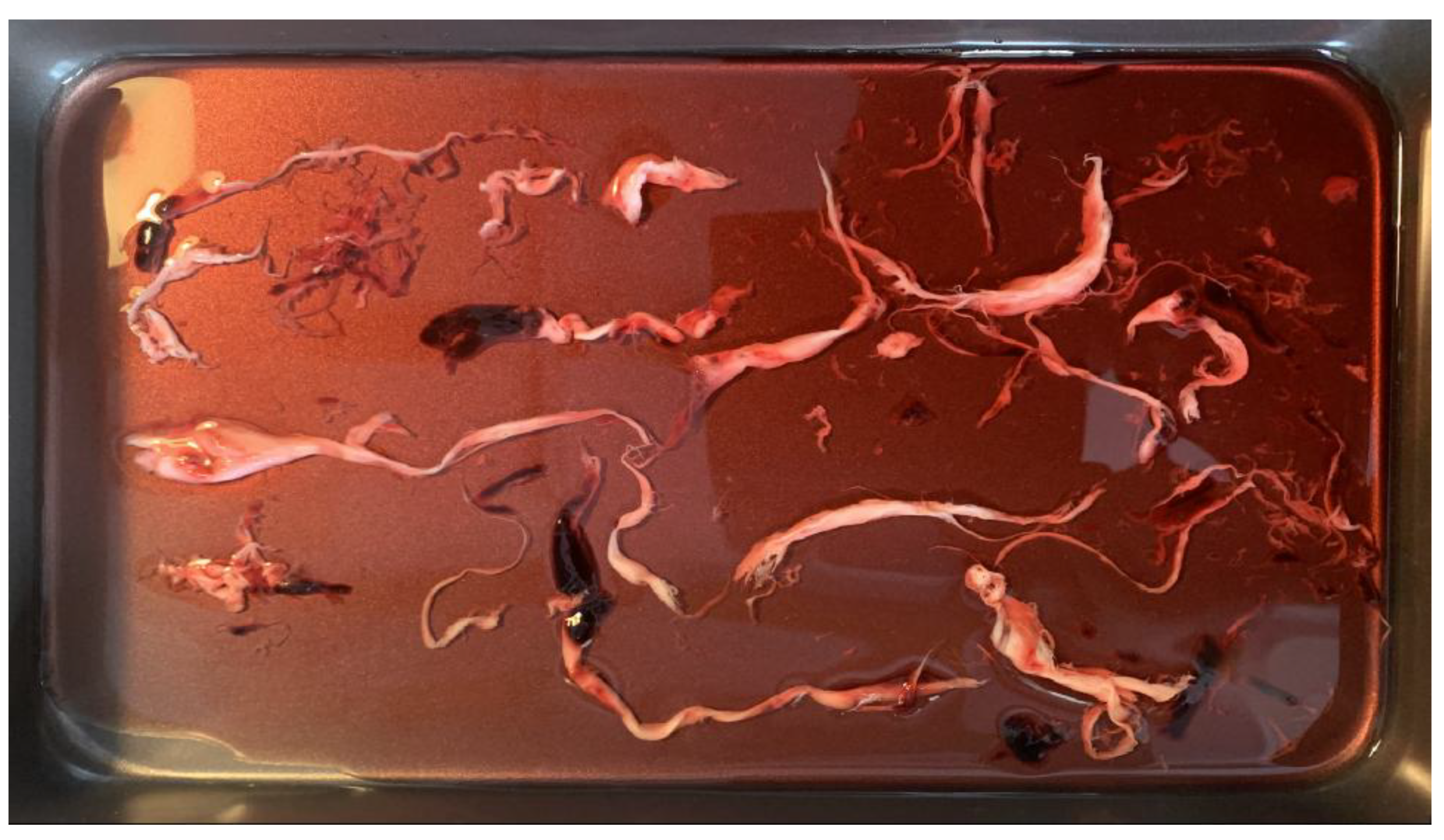 Preprints 195677 g004