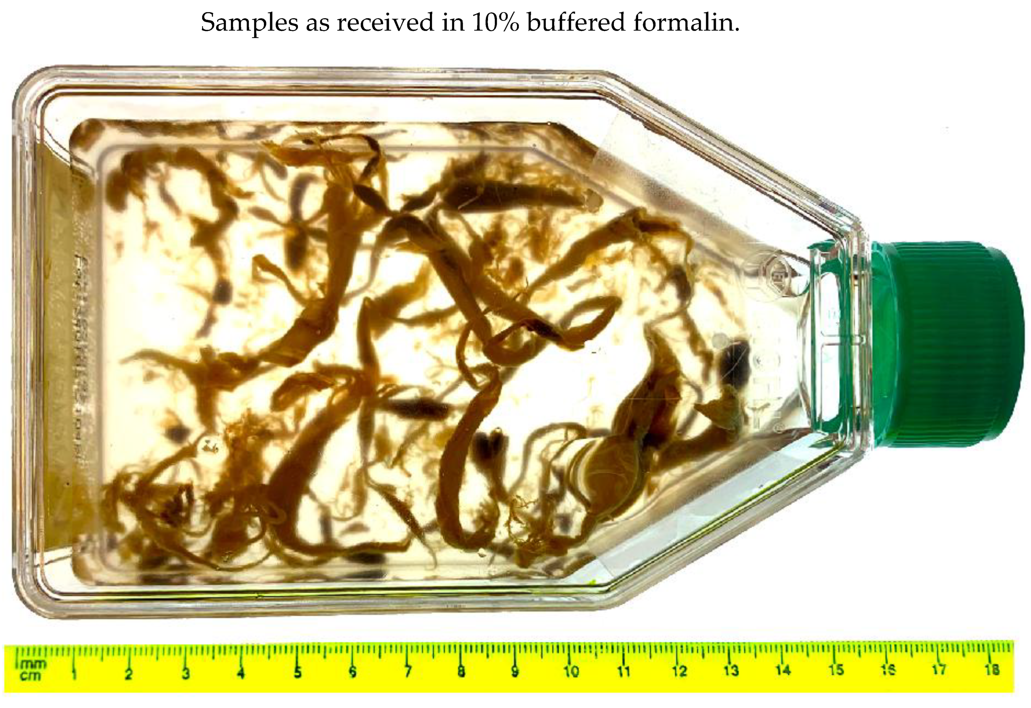 Preprints 195677 g006