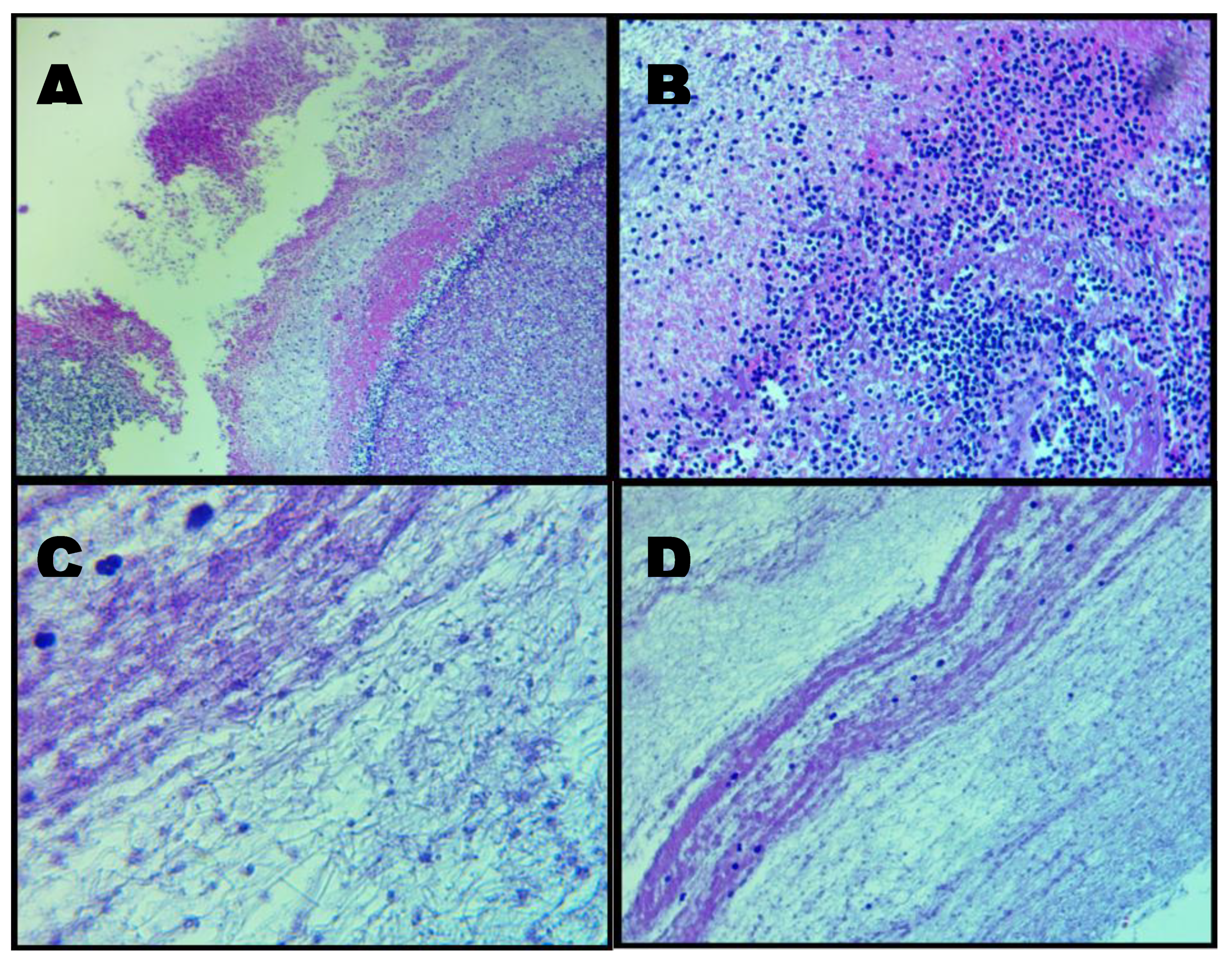 Preprints 195677 g007