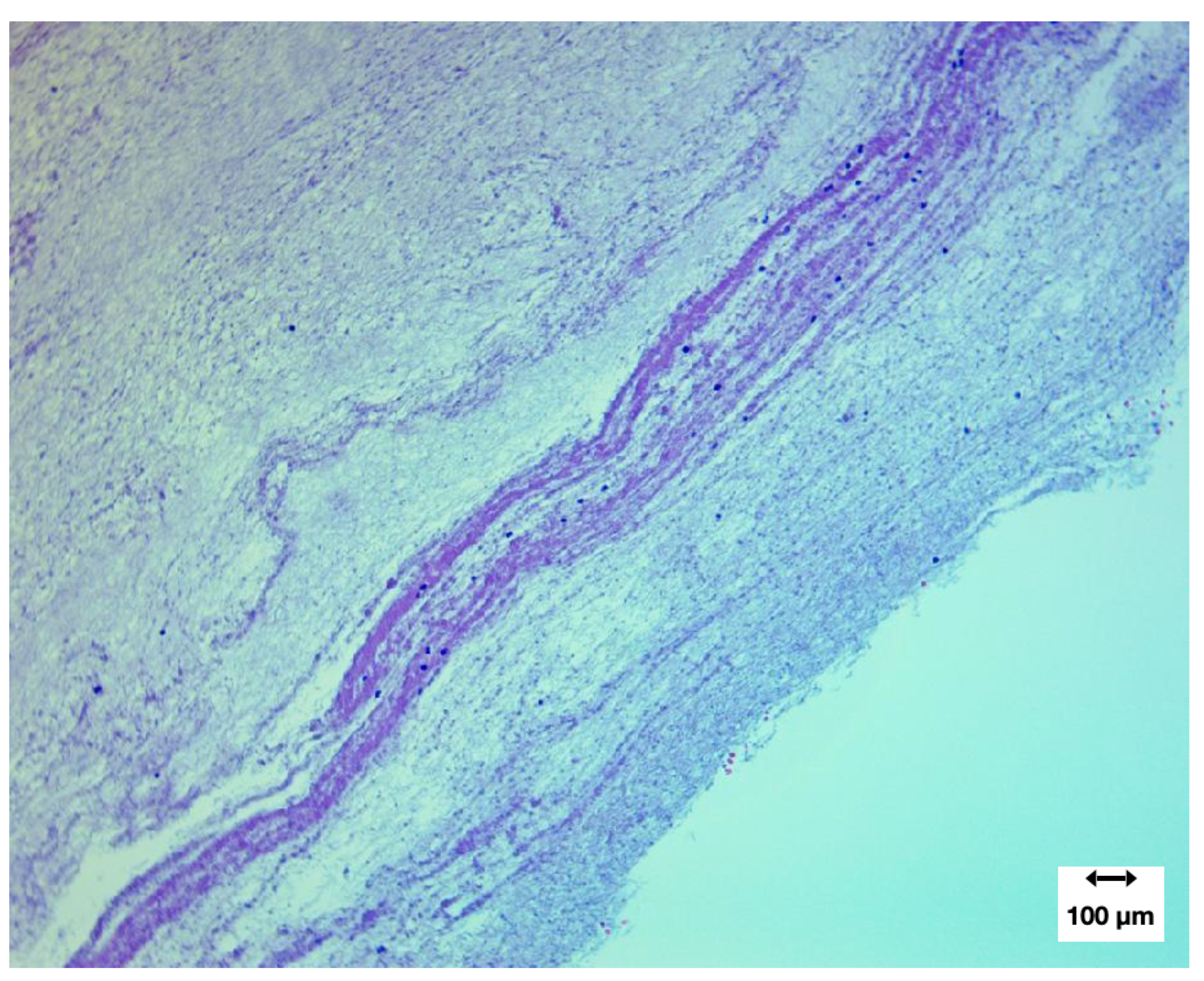 Preprints 195677 g010