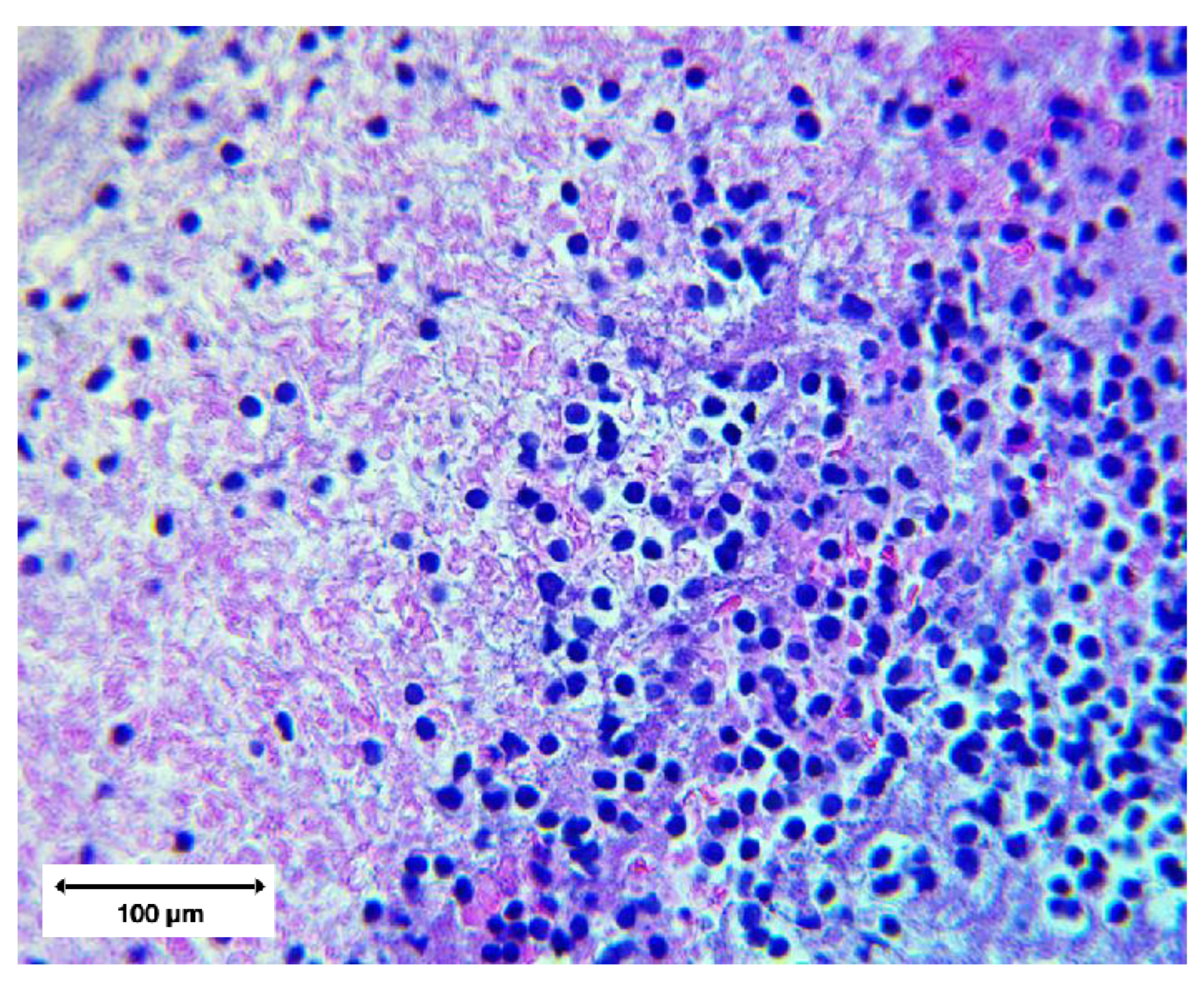 Preprints 195677 g011