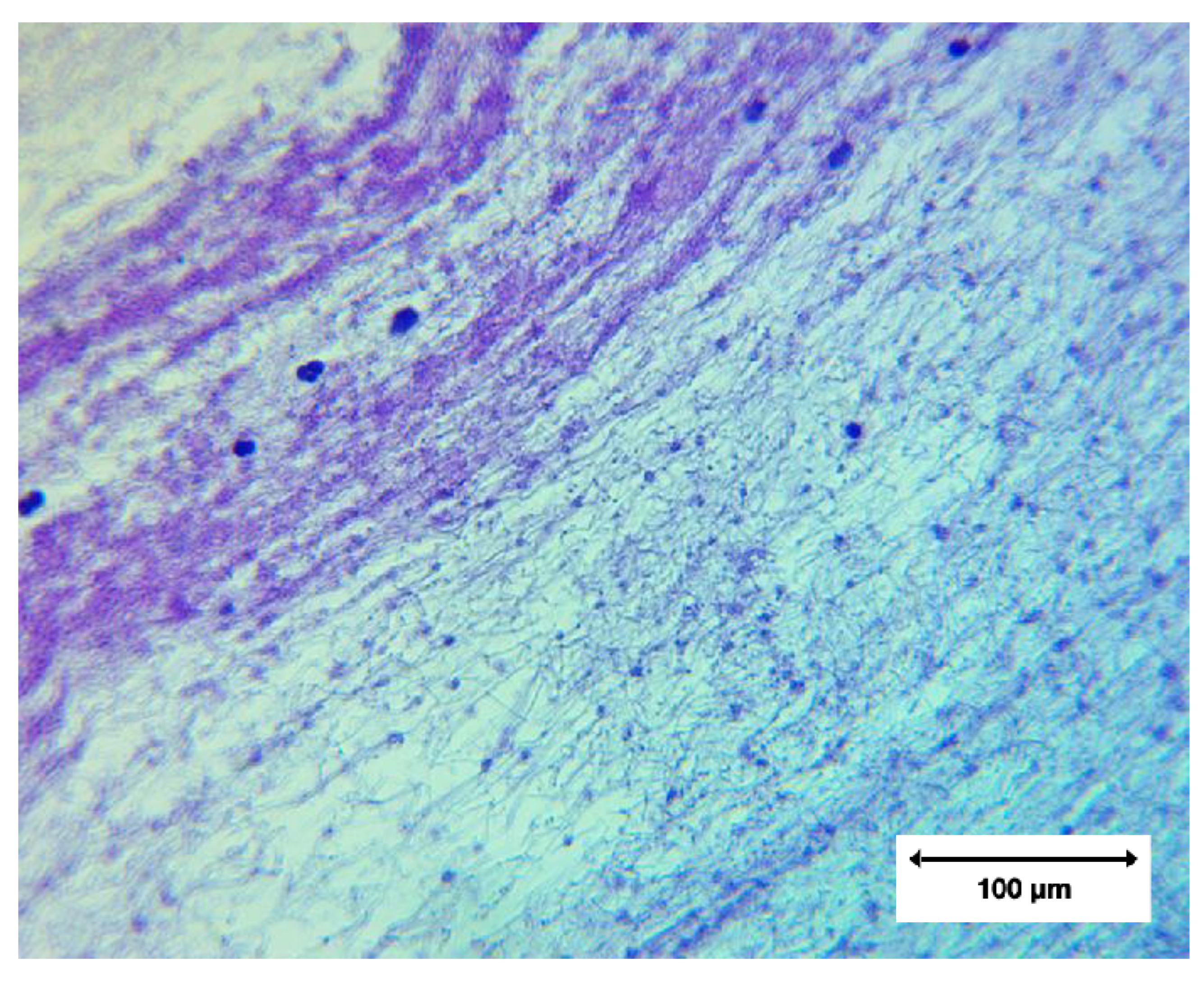 Preprints 195677 g012