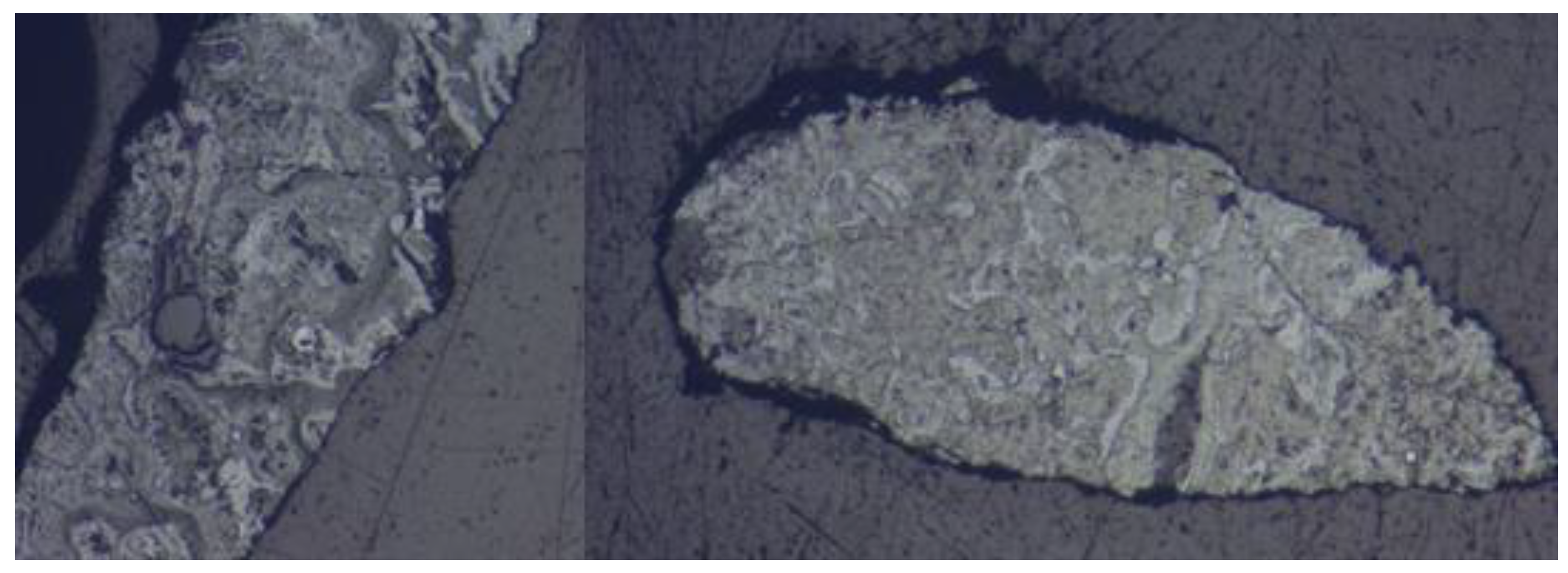 Preprints 146440 g013