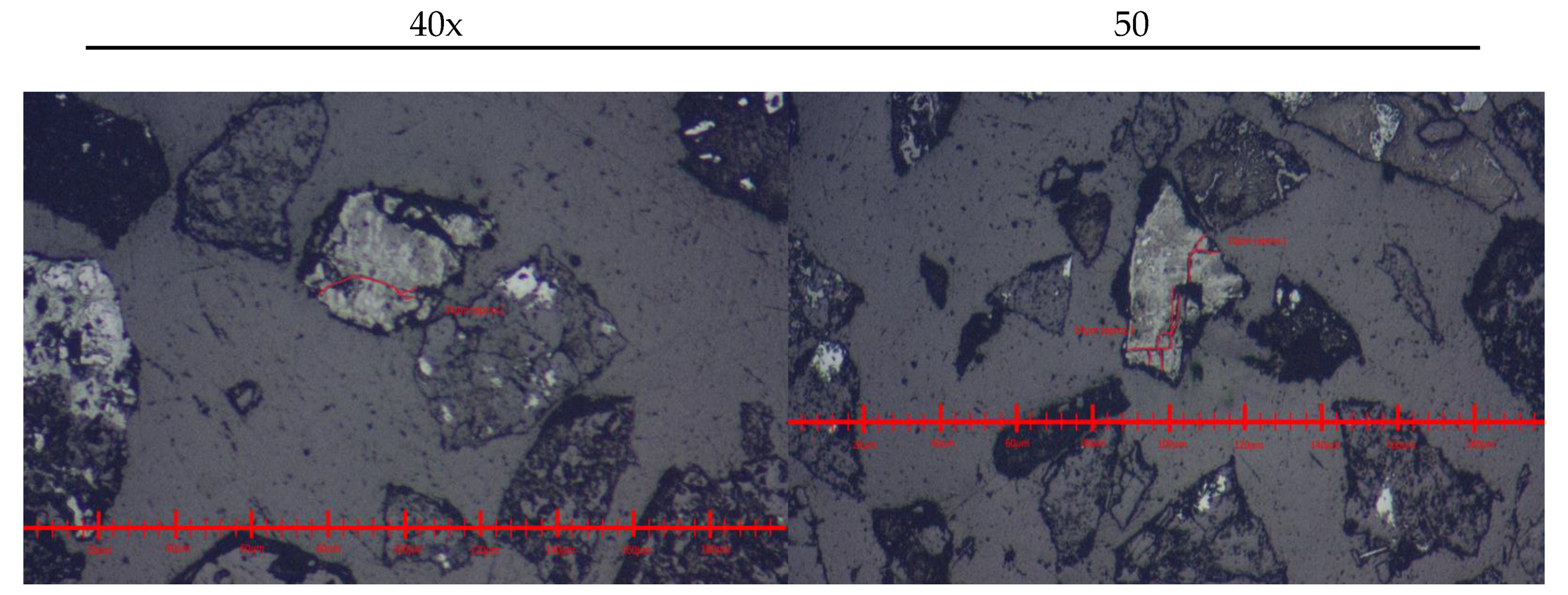Preprints 146440 g014