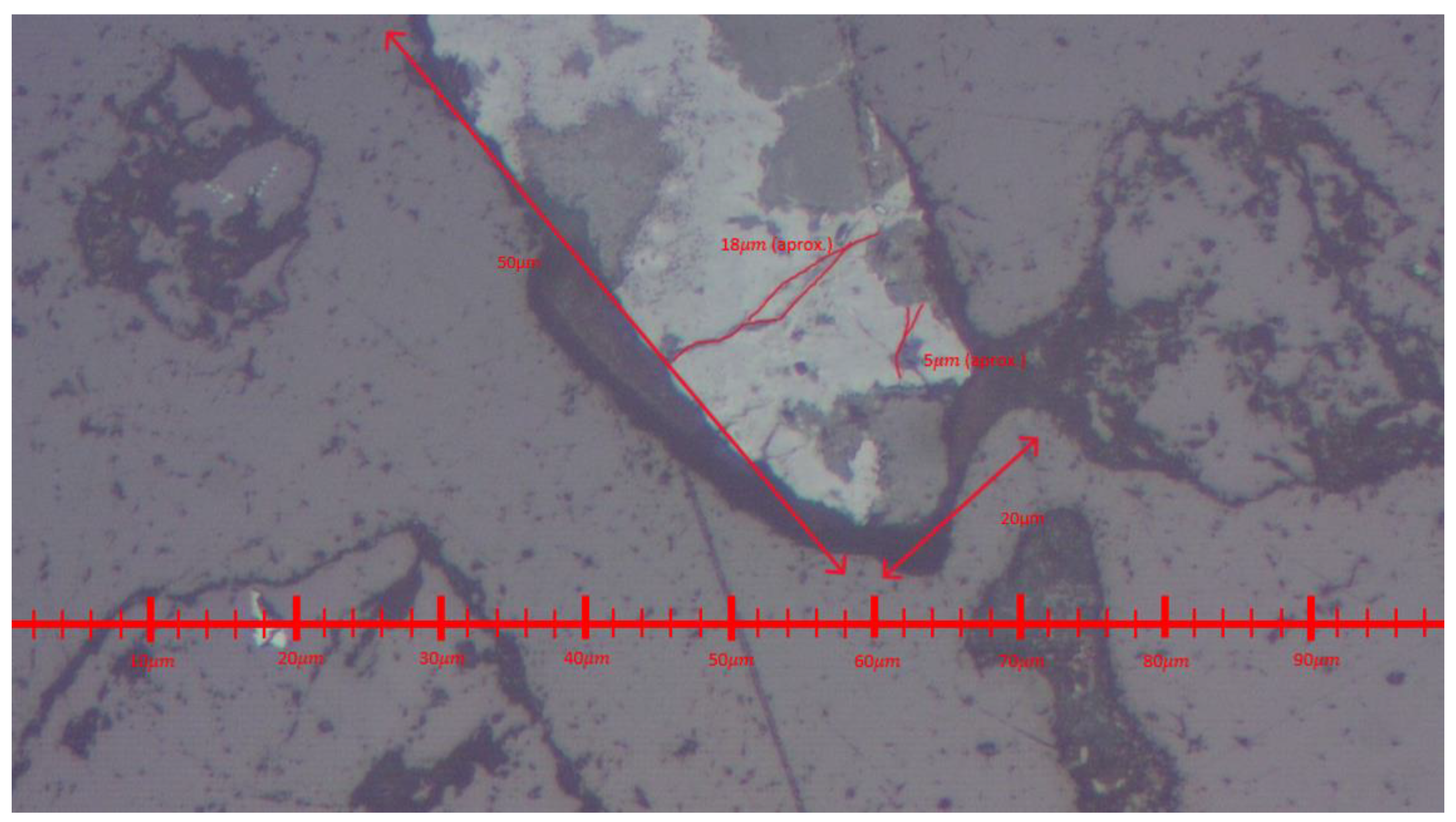 Preprints 146440 g015
