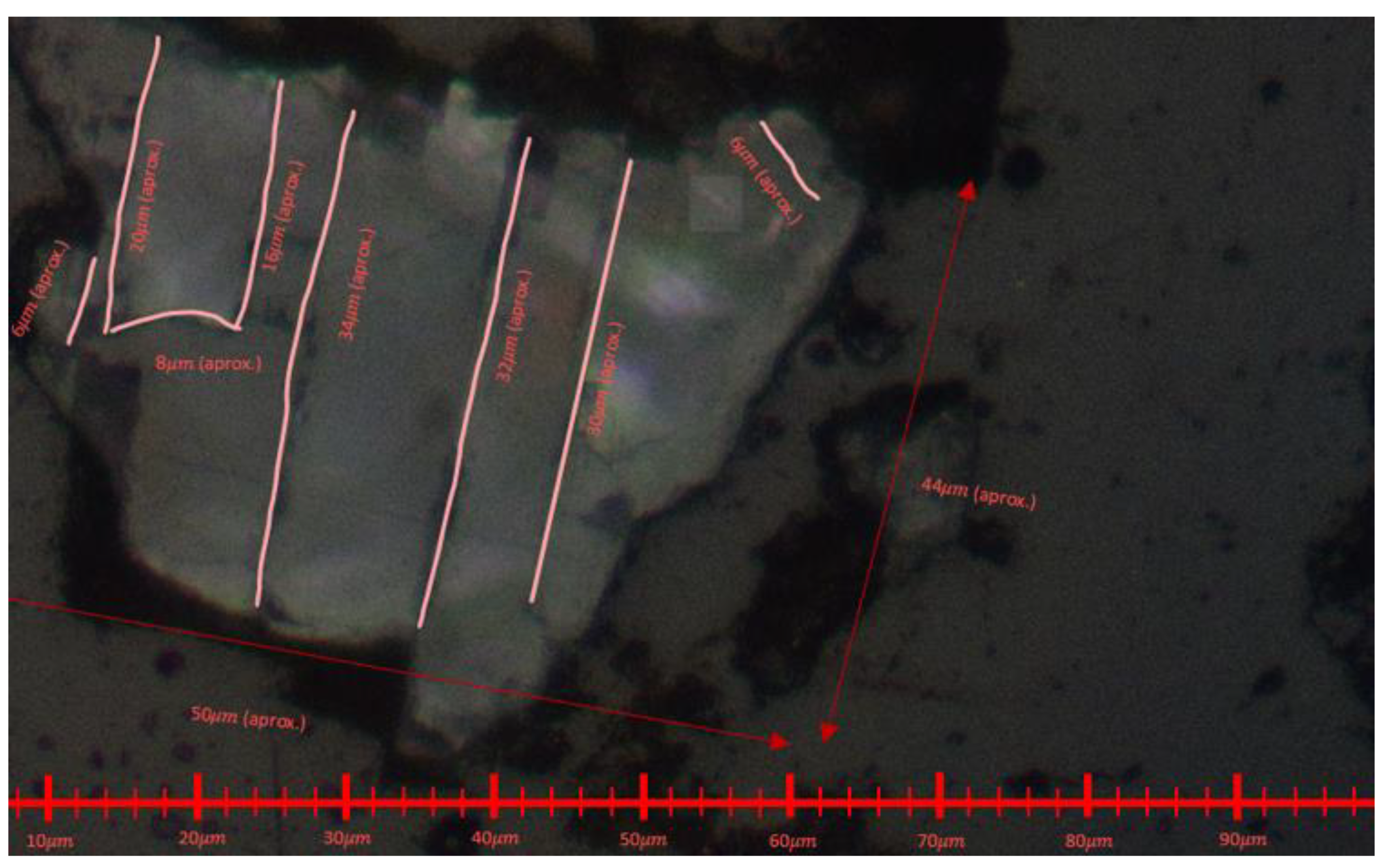 Preprints 146440 g016