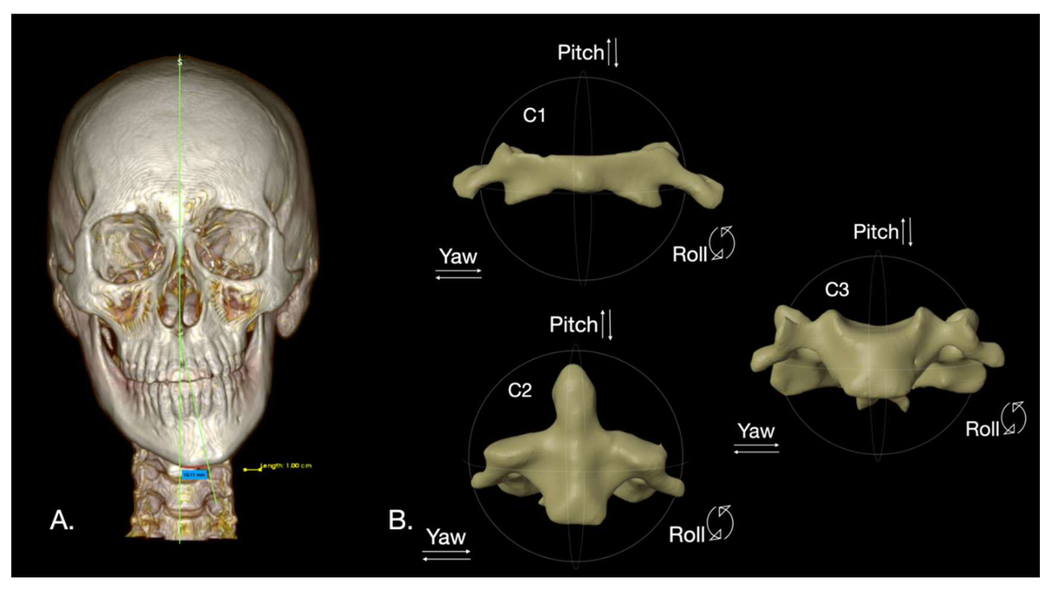 Preprints 194711 g001
