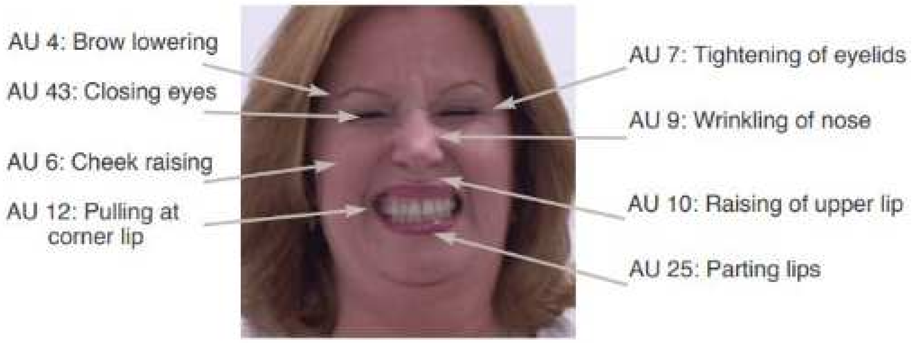 Preprints 106052 g001