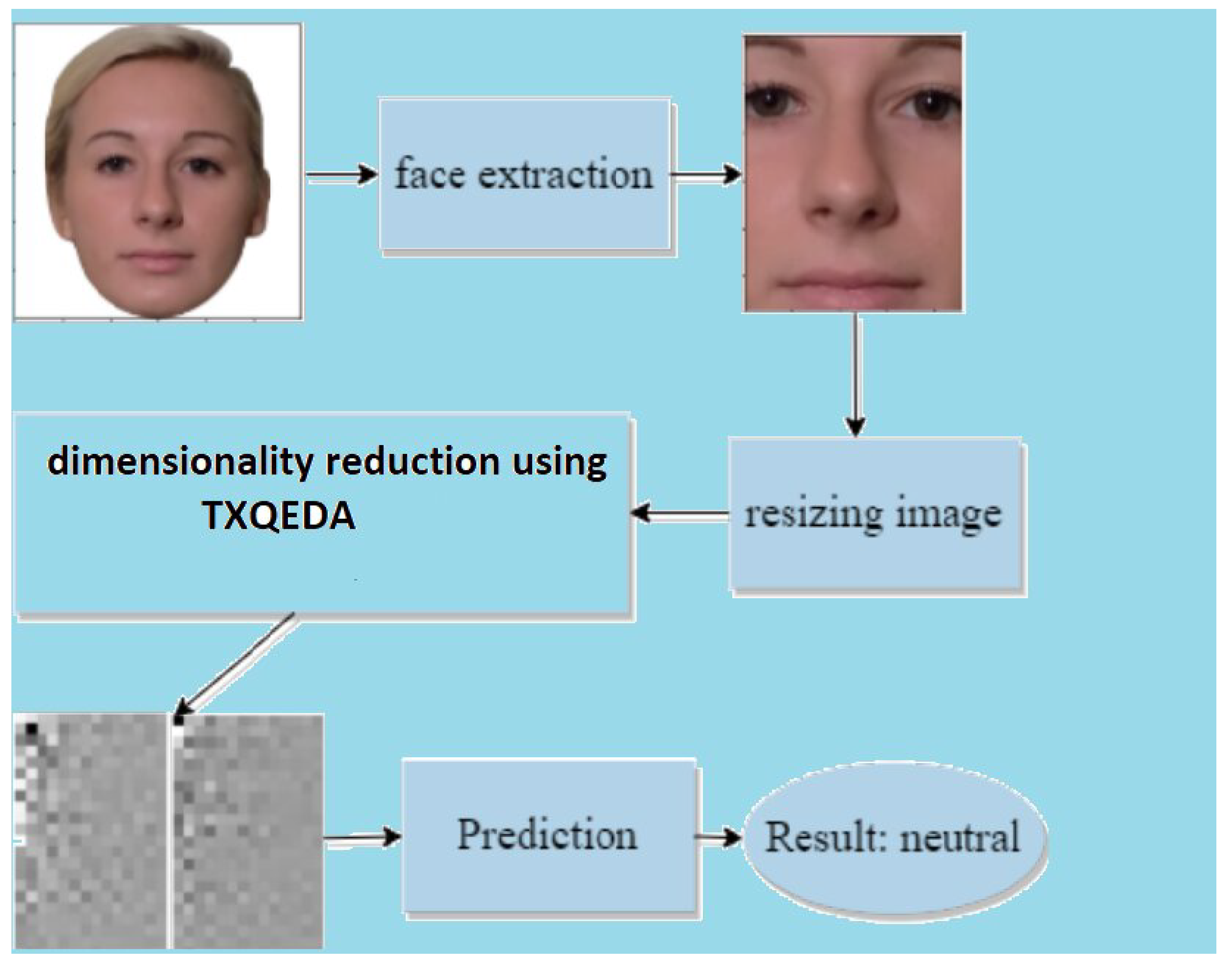 Preprints 106052 g002