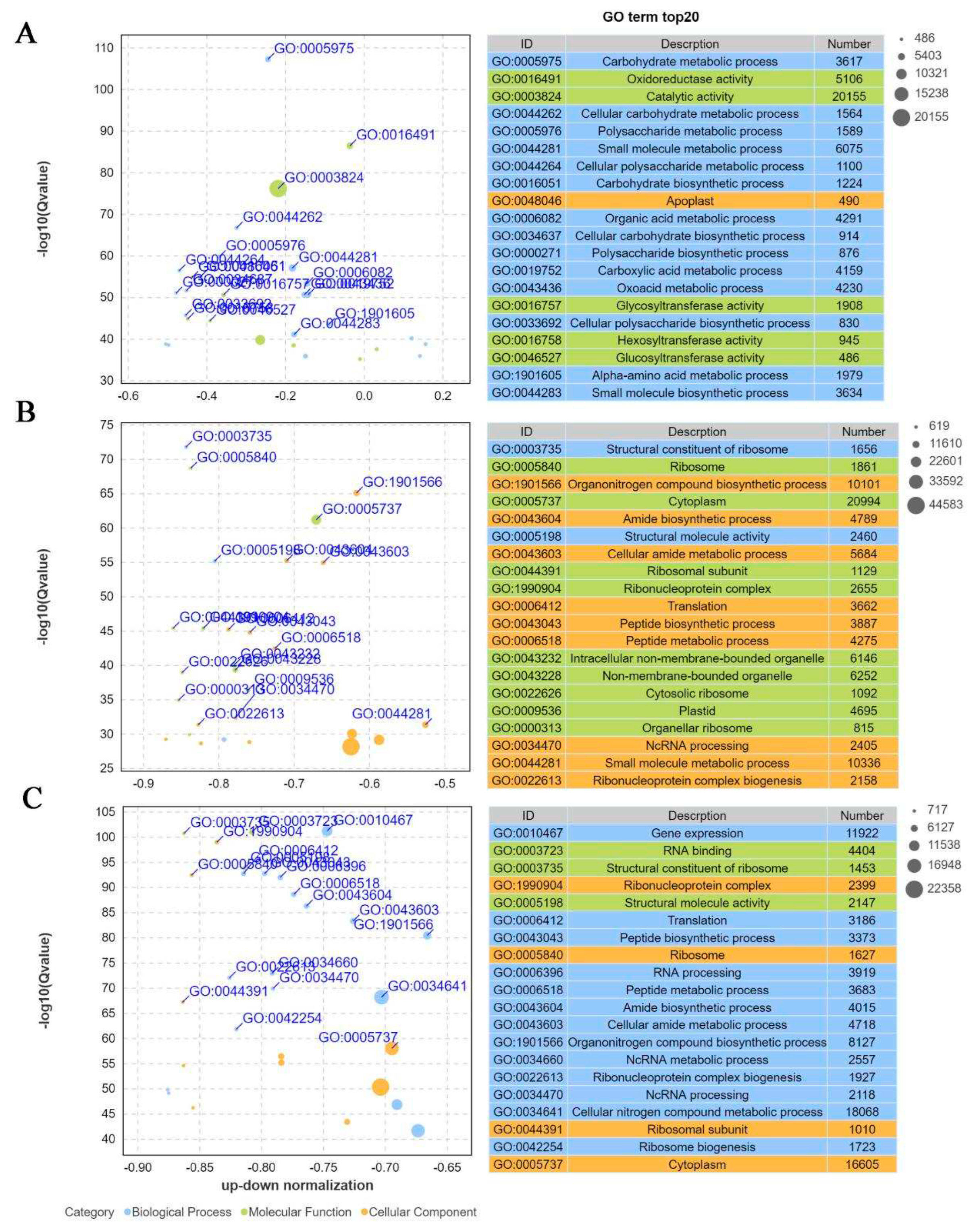 Preprints 89847 g005