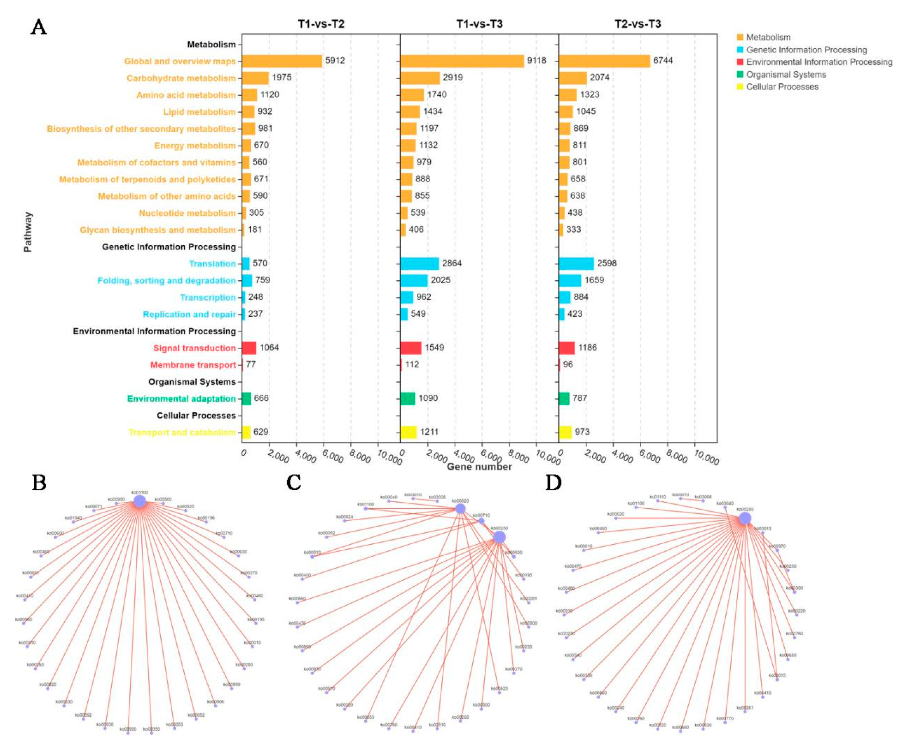 Preprints 89847 g006