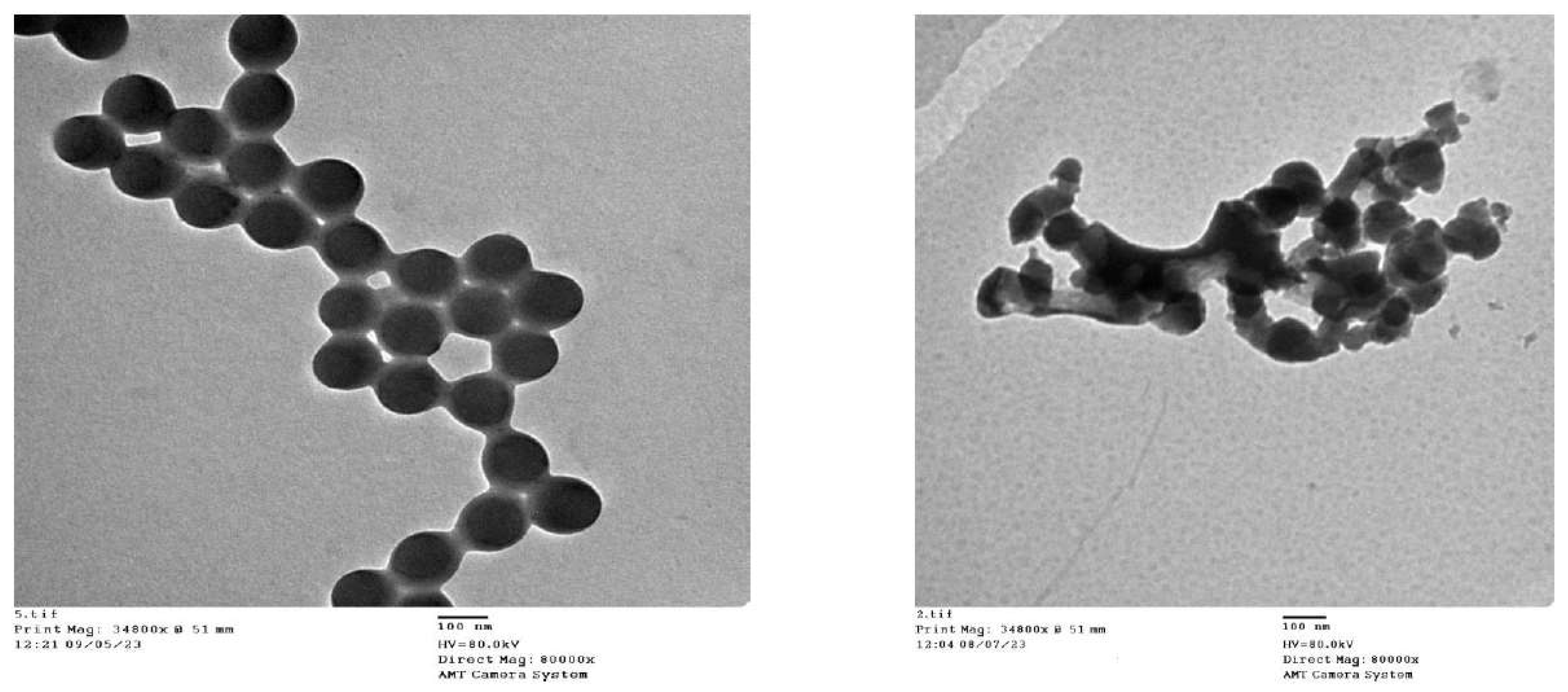 Preprints 94748 g007