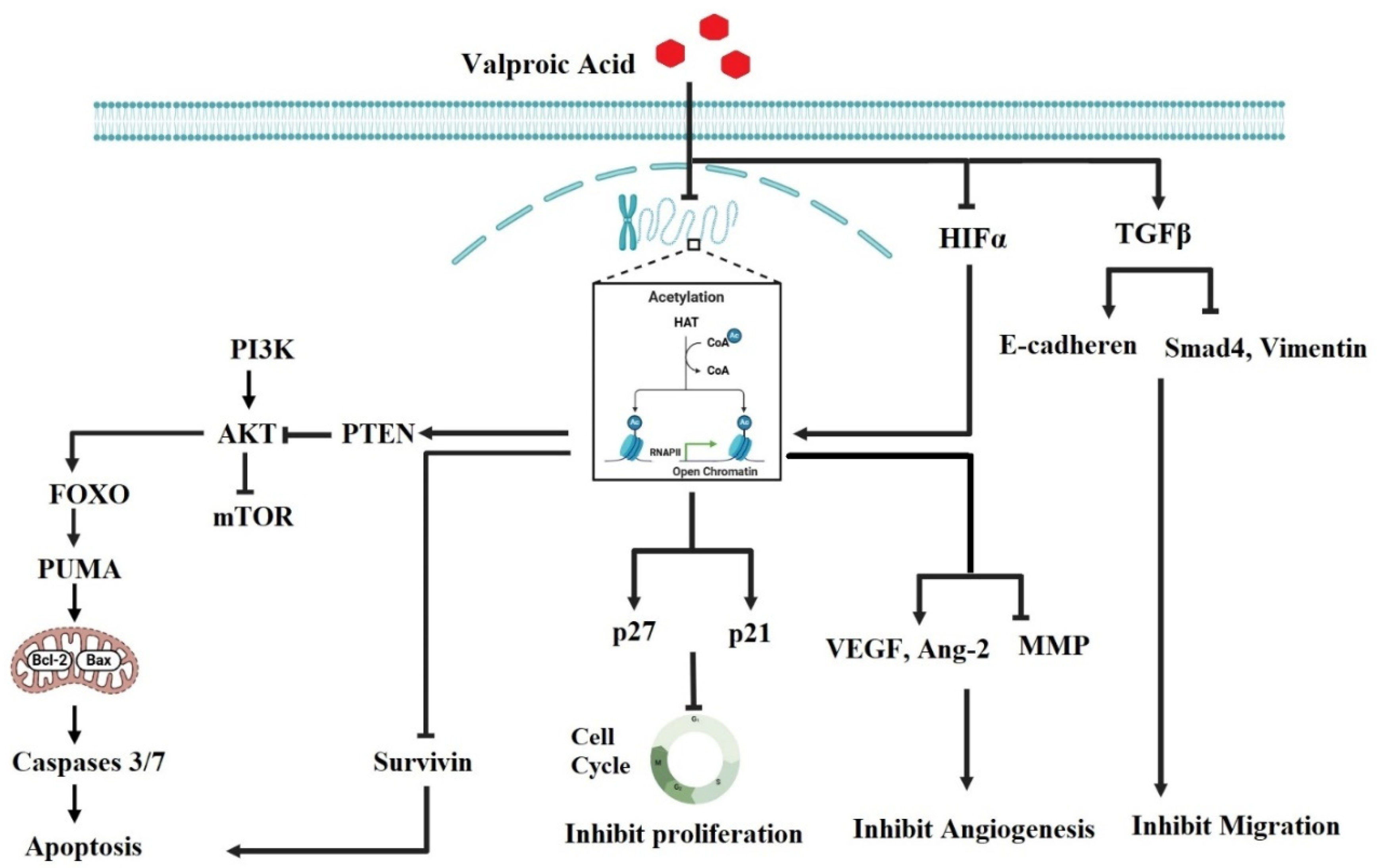 Preprints 149189 g002