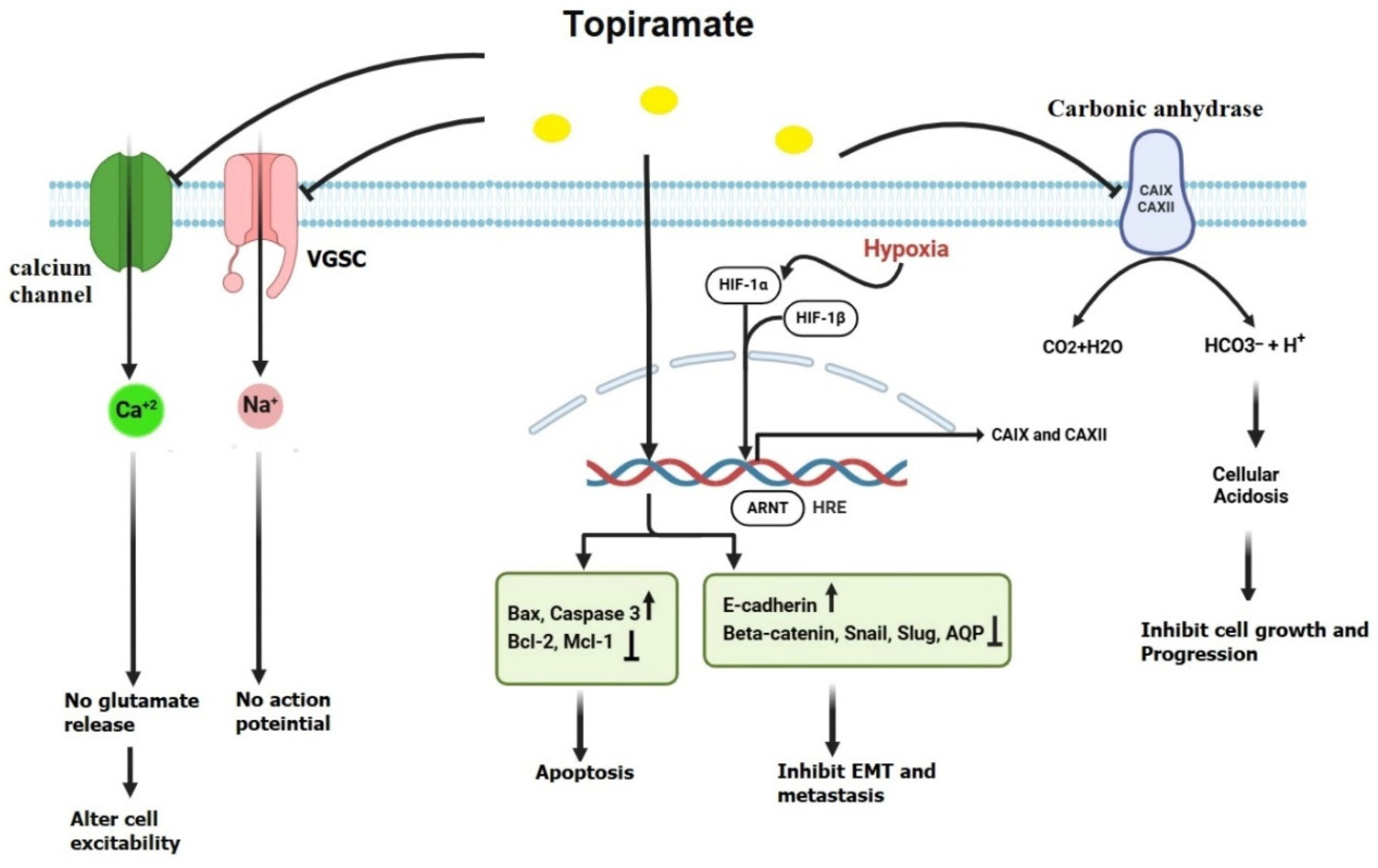 Preprints 149189 g003
