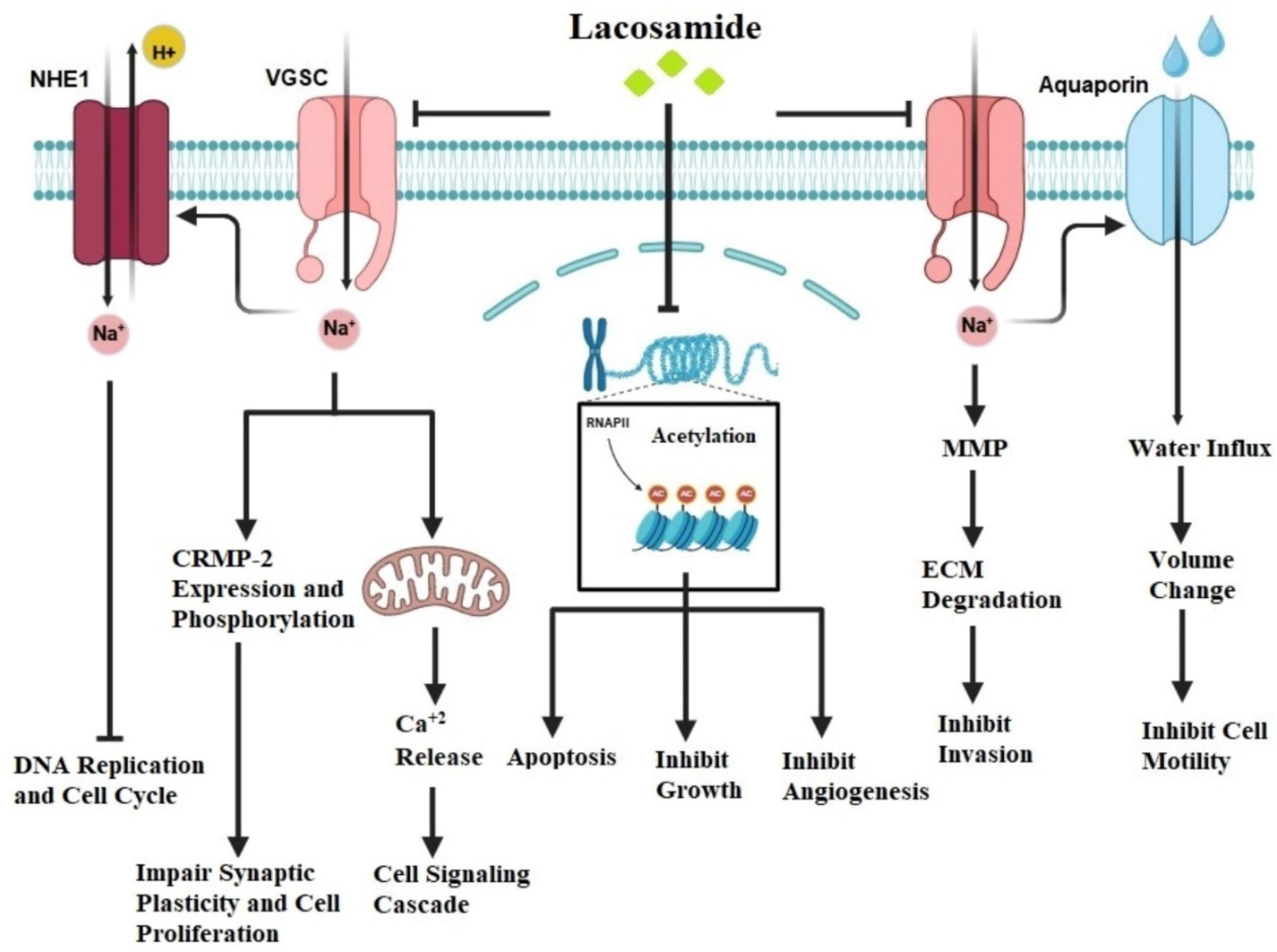 Preprints 149189 g004