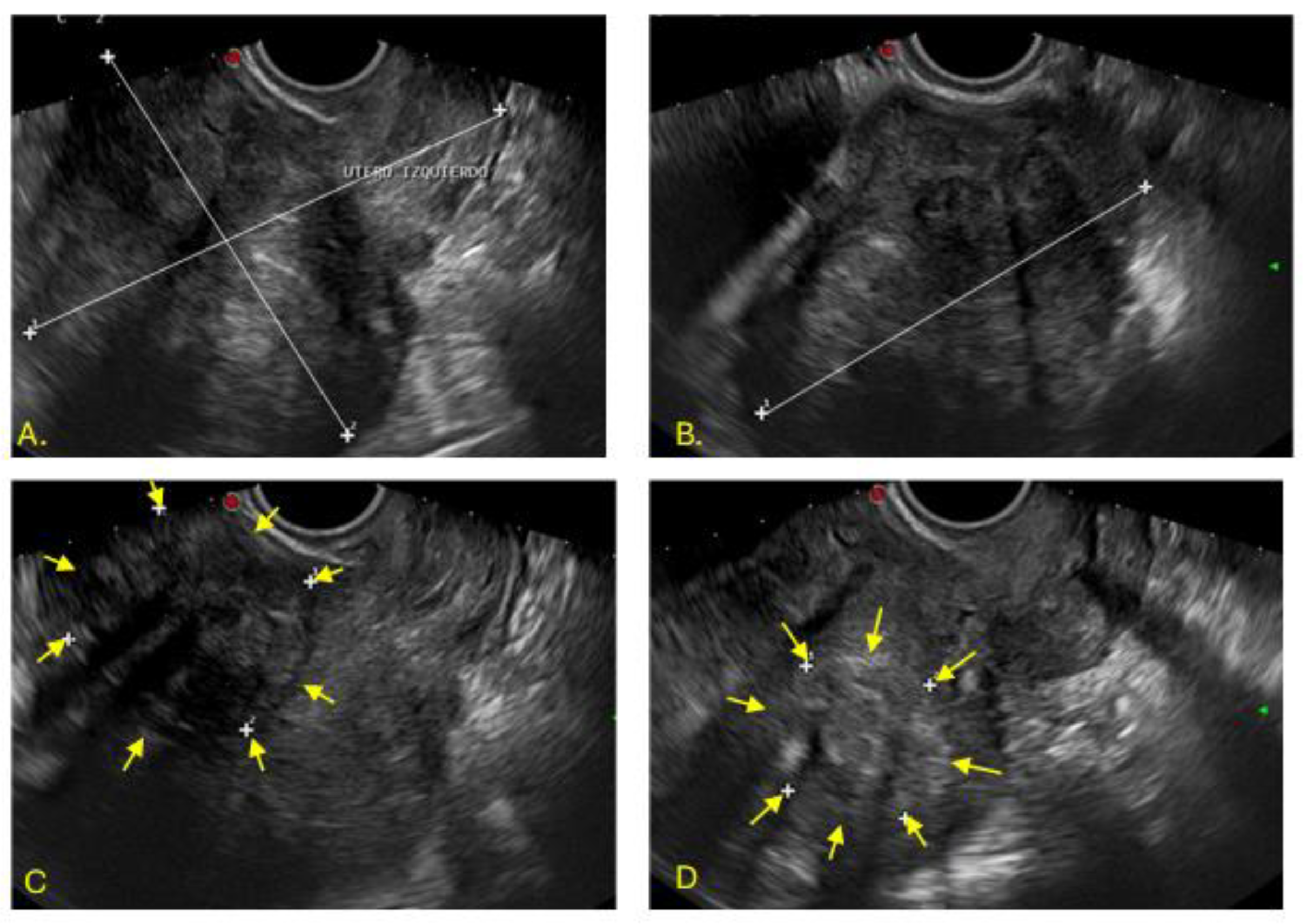 Preprints 180395 g001
