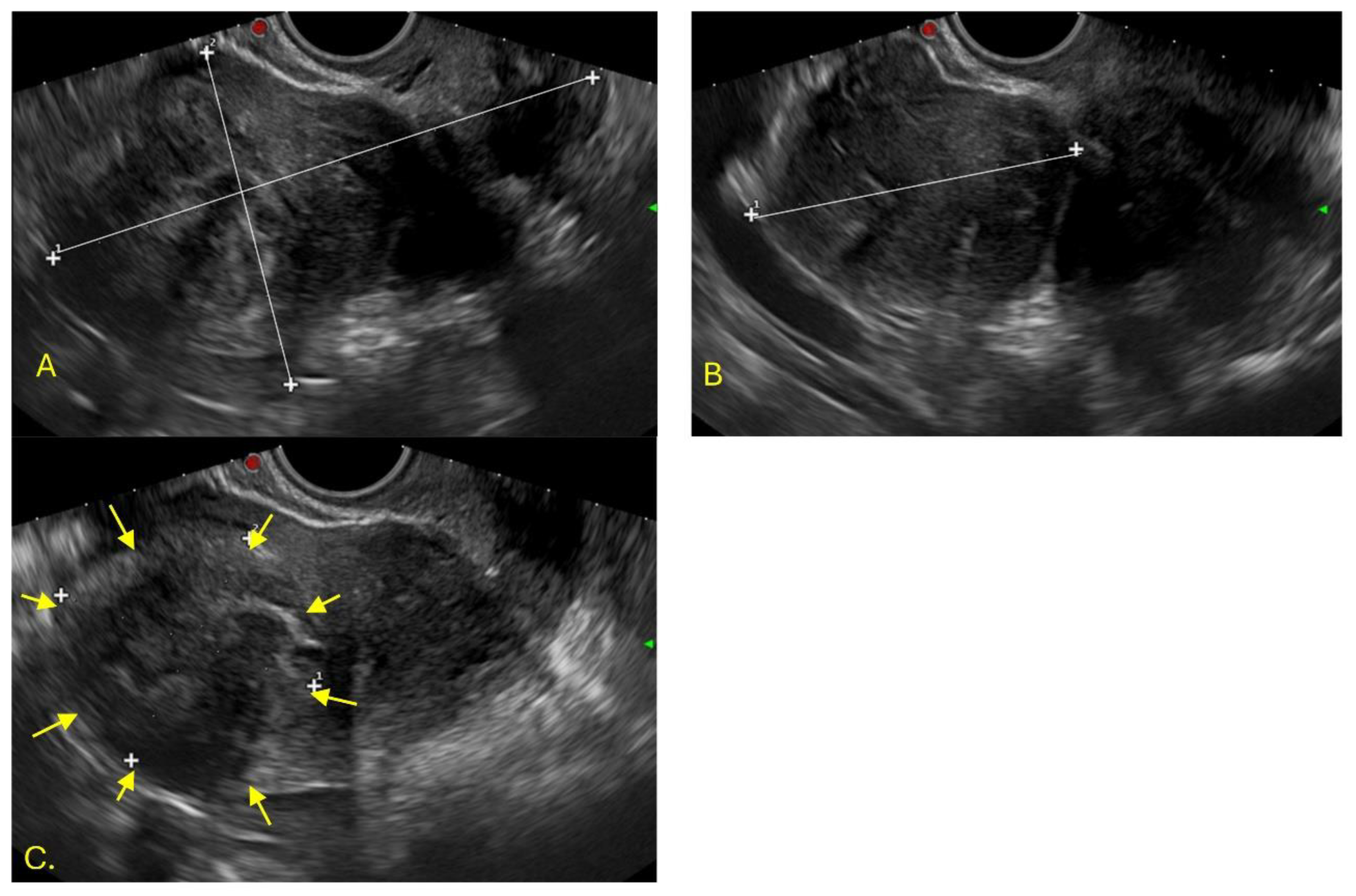 Preprints 180395 g002
