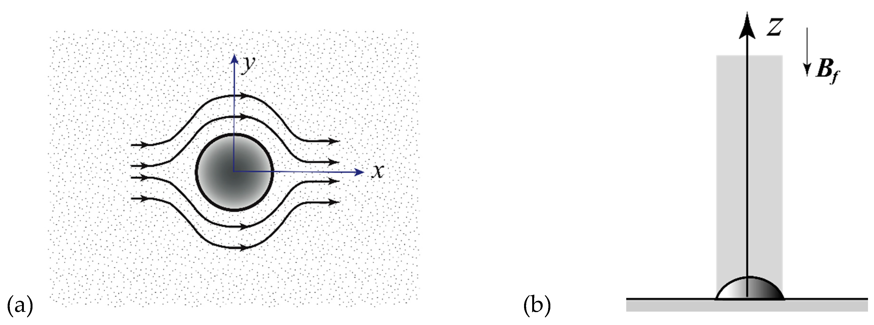 Preprints 114599 g002