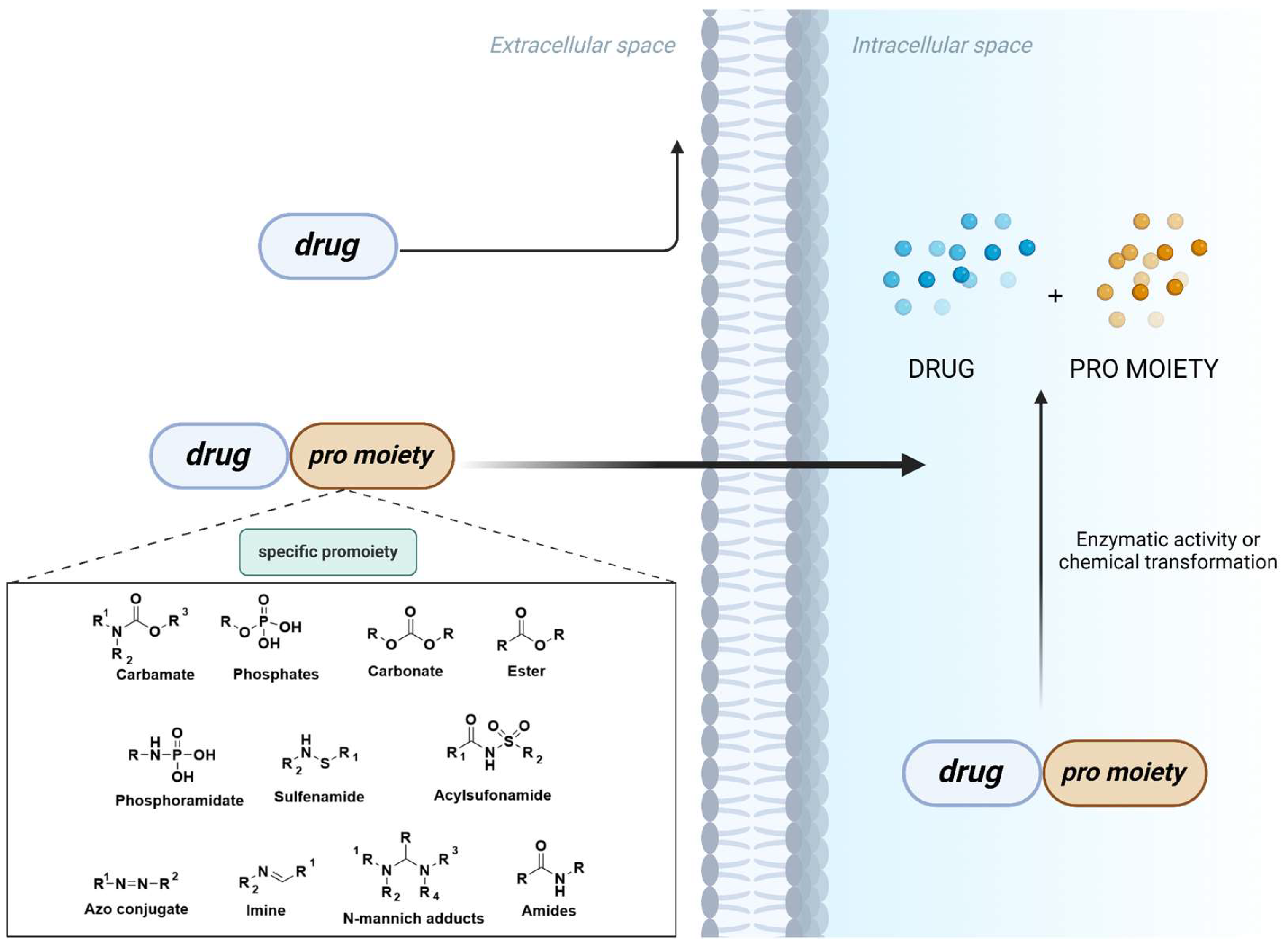 Preprints 146736 g001
