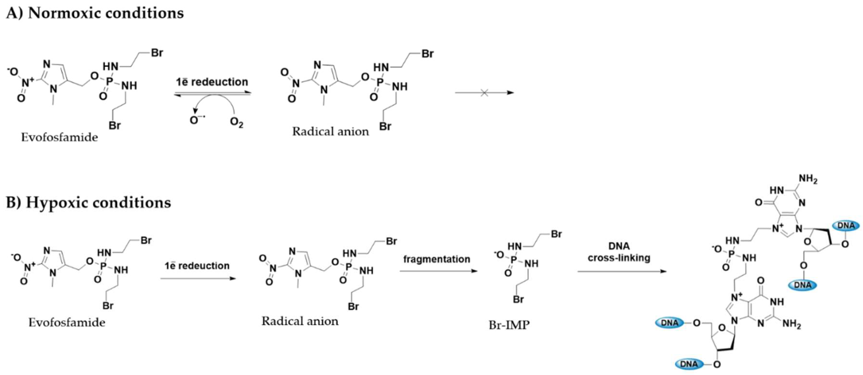 Preprints 146736 g007