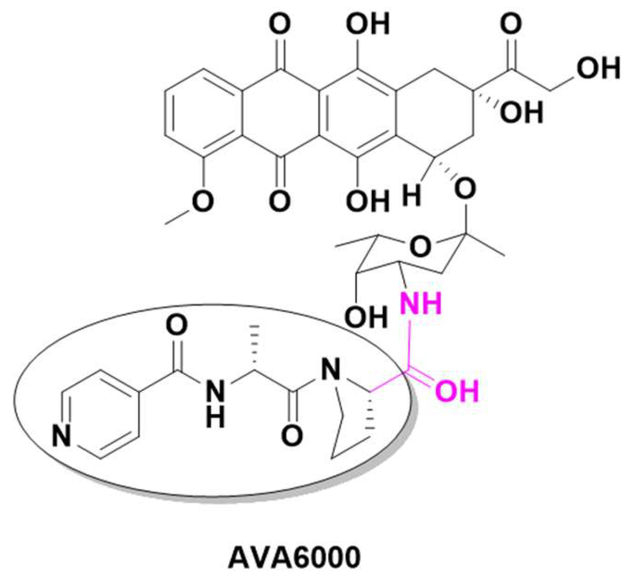 Preprints 146736 g011